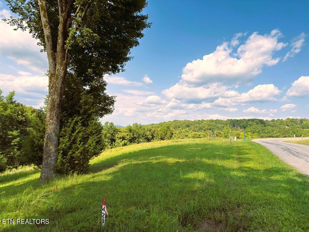 41B Bald Eagle Road Hilham TN 38568