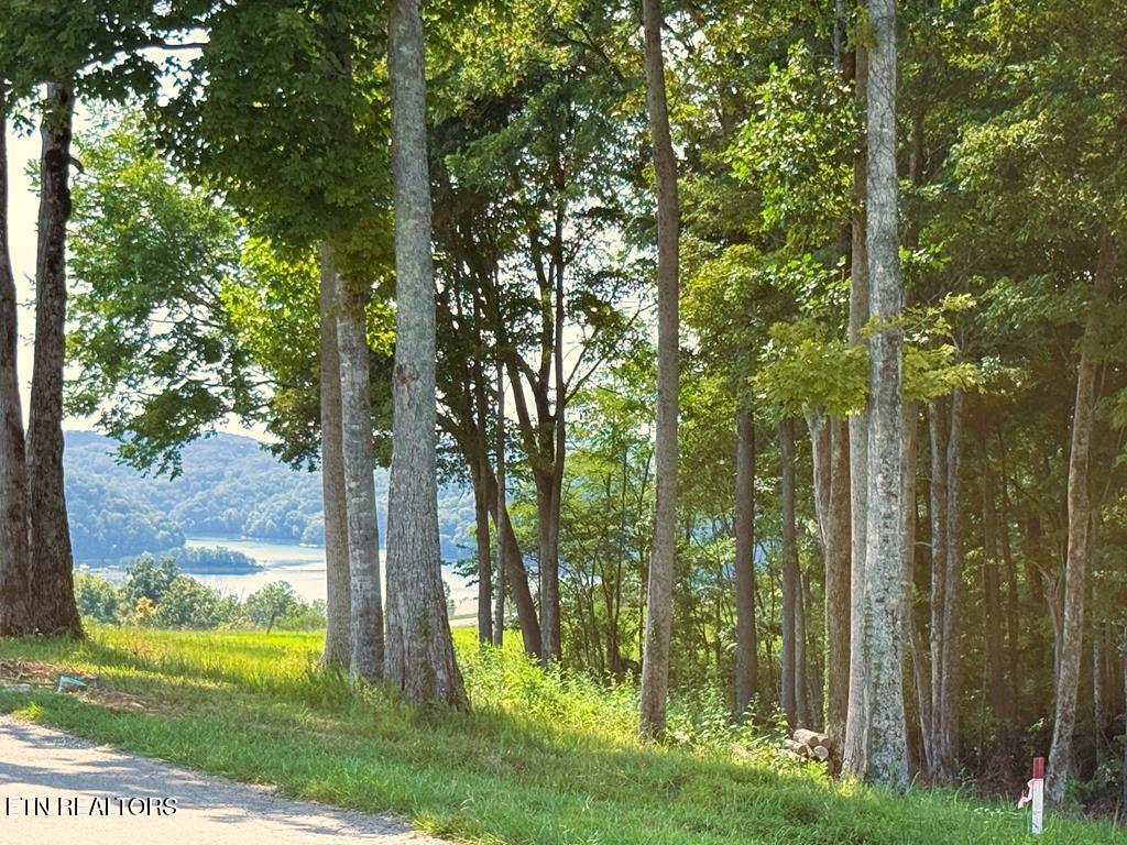 41B Bald Eagle Road Hilham TN 38568