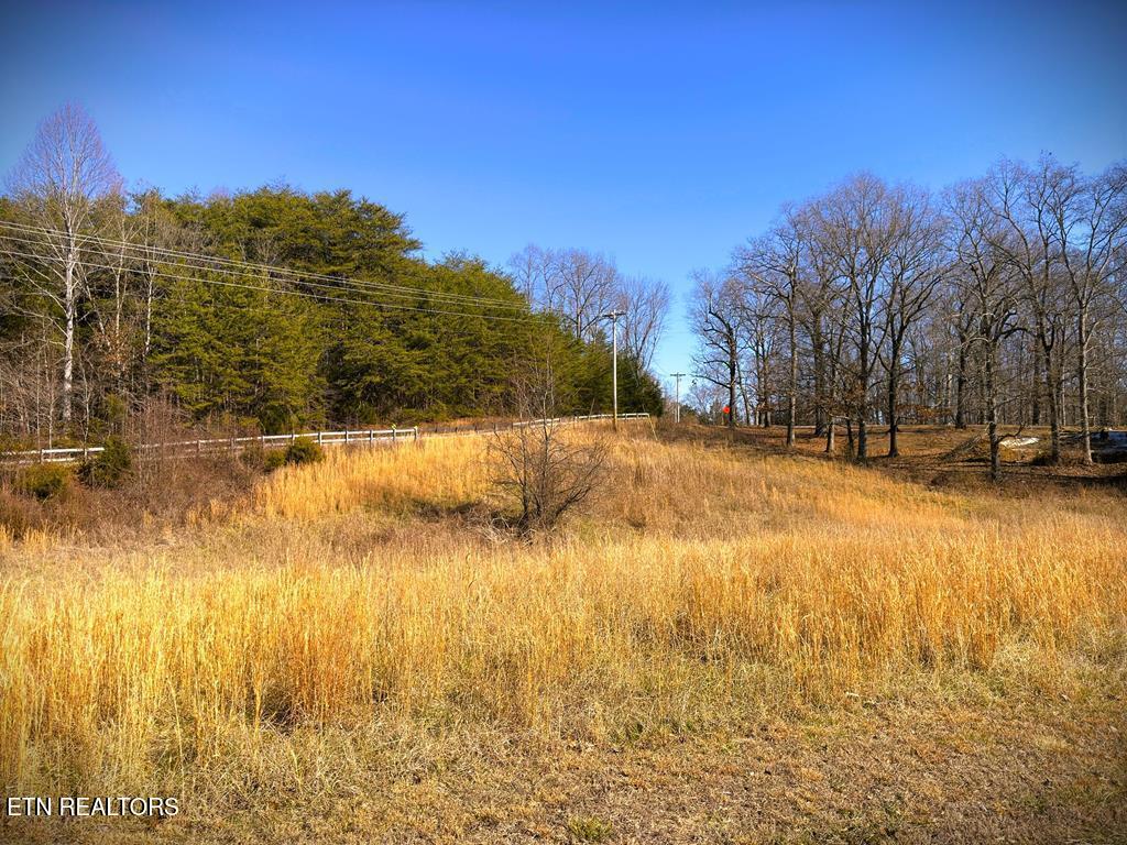 41B Bald Eagle Road Hilham TN 38568