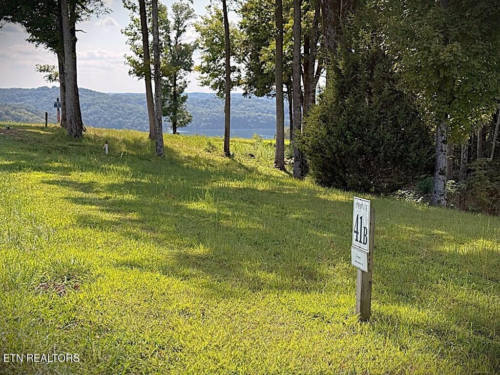 41B Bald Eagle Road Hilham TN 38568