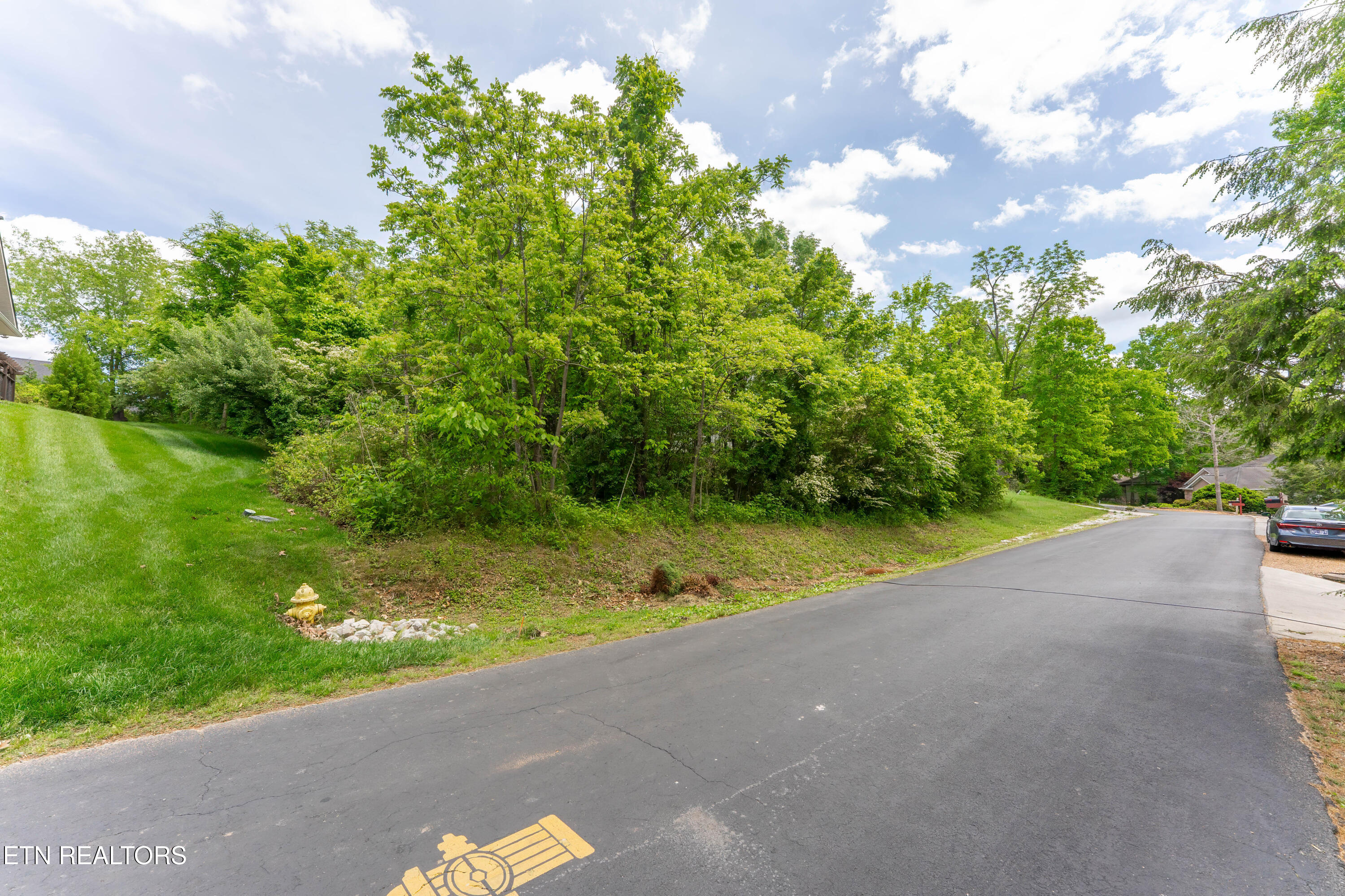 177 Oonoga Way Loudon TN 37774