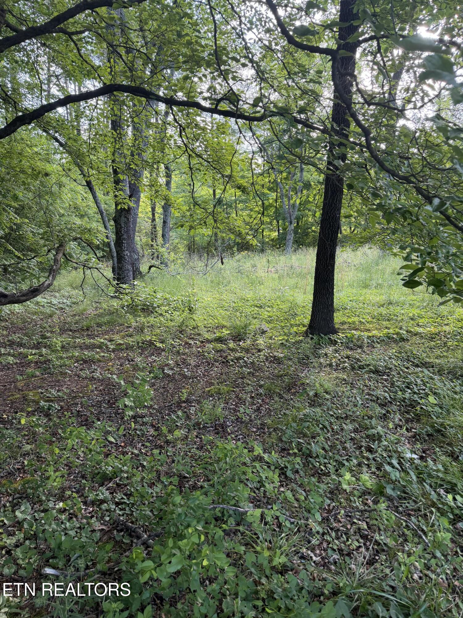 Lot 86 Hidden Hills Drive Dayton TN 37321