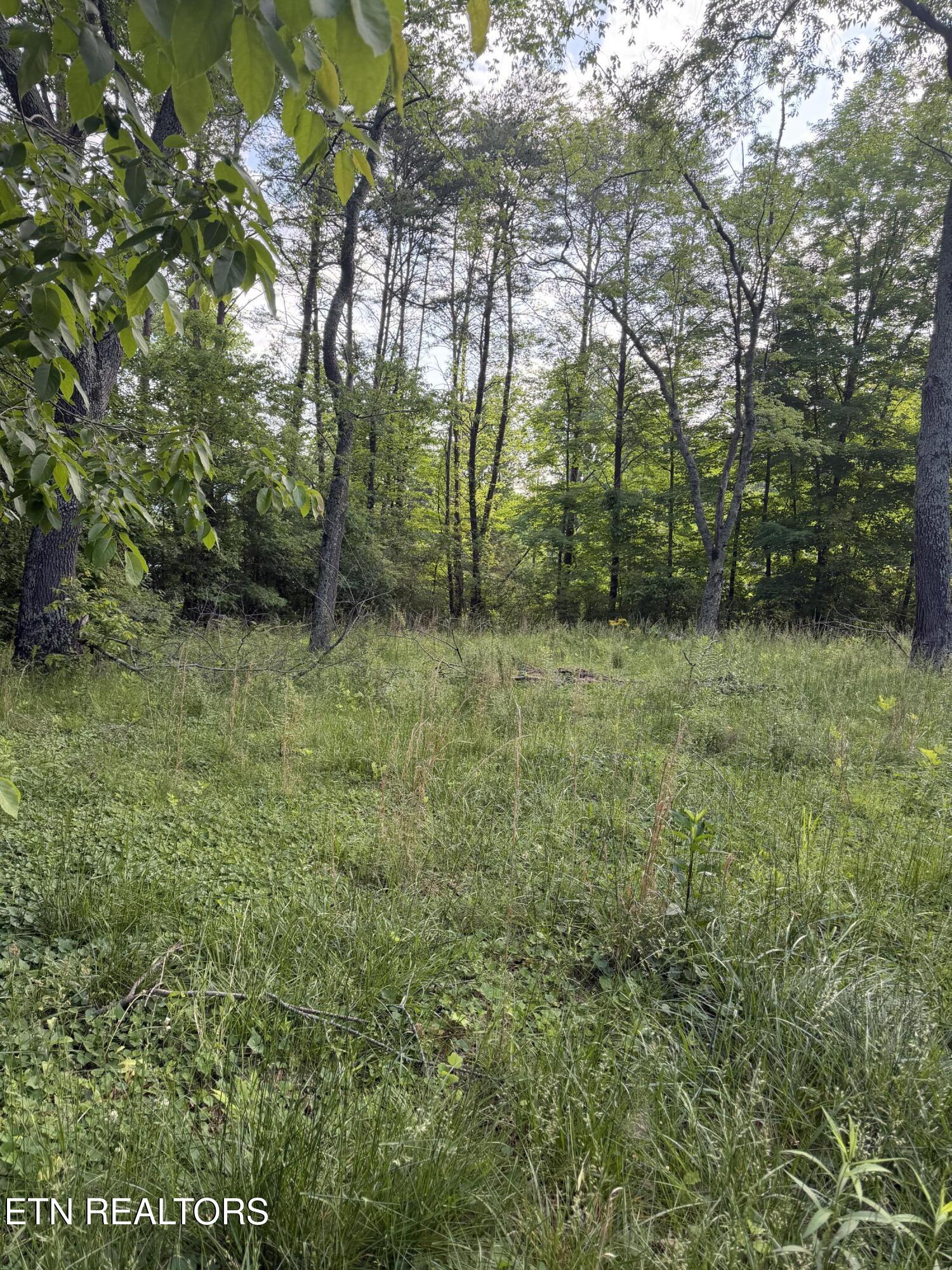 Lot 86 Hidden Hills Drive Dayton TN 37321