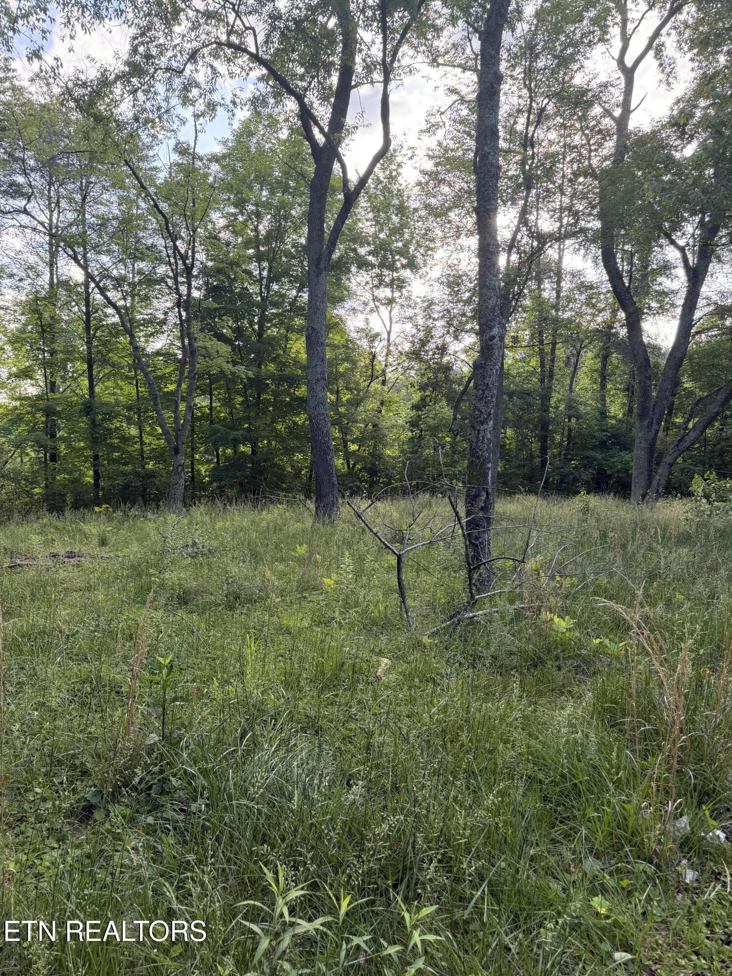 Lot 86 Hidden Hills Drive Dayton TN 37321
