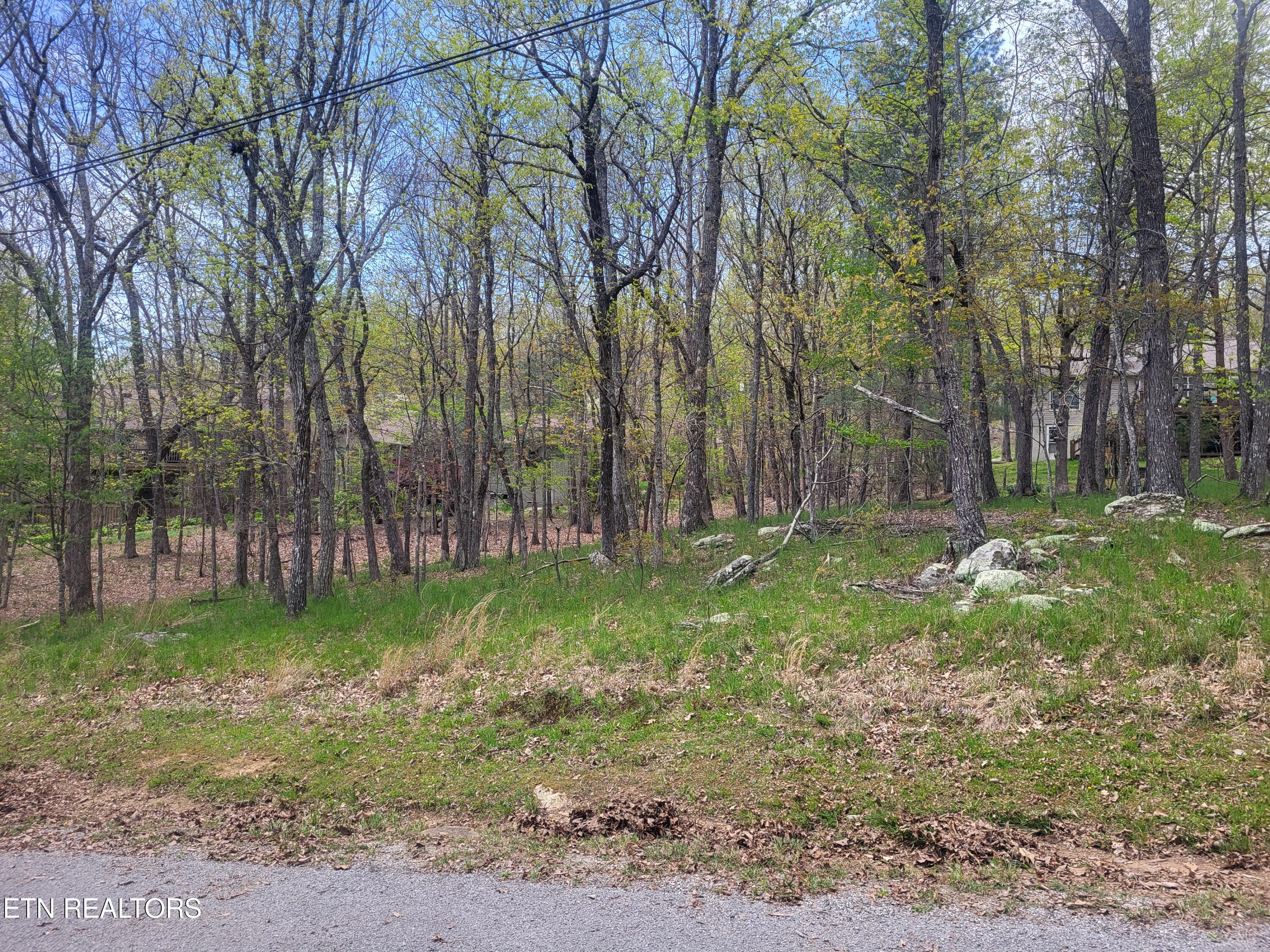 142 Greenbrier Loop Crossville TN 38558