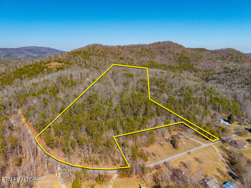 000 Towee Falls Road Tellico Plains TN 37385