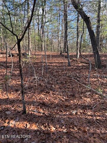 000 Towee Falls Road Tellico Plains TN 37385