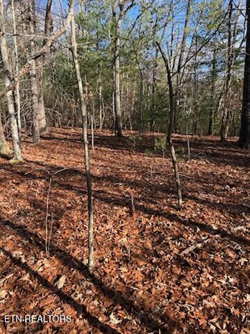 000 Towee Falls Road Tellico Plains TN 37385