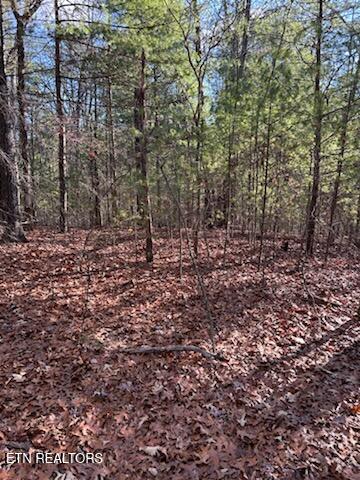 000 Towee Falls Road Tellico Plains TN 37385