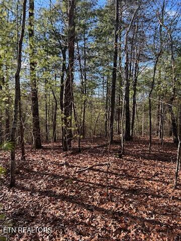 000 Towee Falls Road Tellico Plains TN 37385