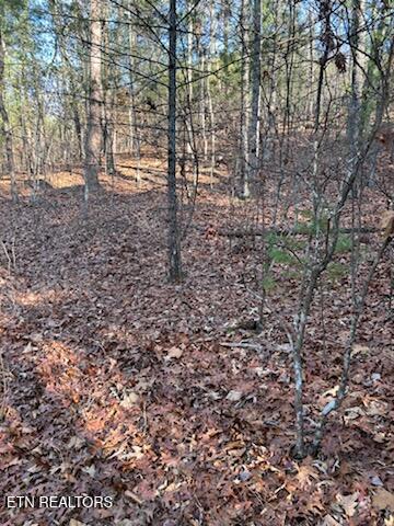 000 Towee Falls Road Tellico Plains TN 37385