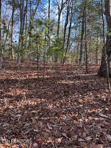000 Towee Falls Road Tellico Plains TN 37385