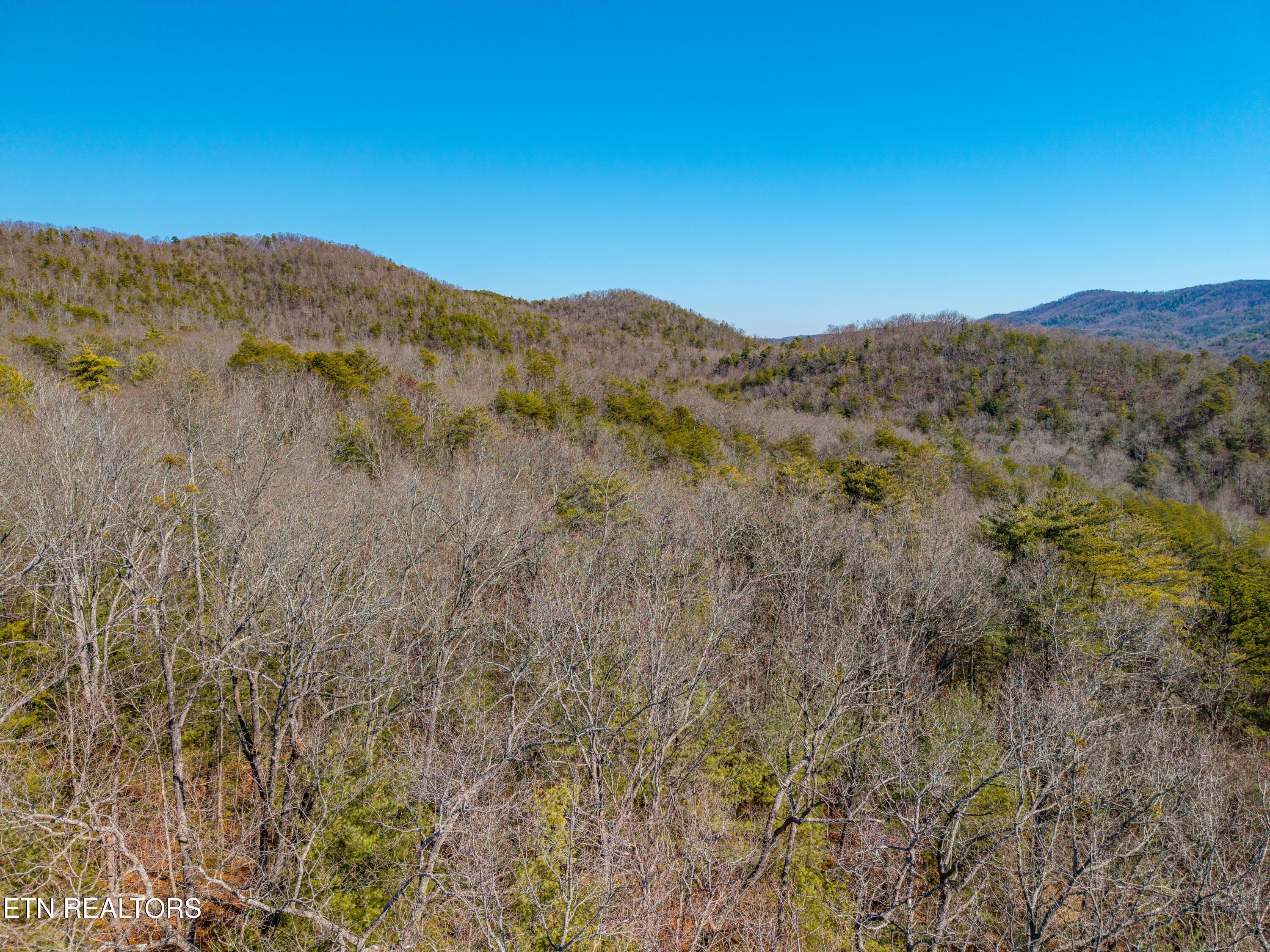 000 Towee Falls Road Tellico Plains TN 37385