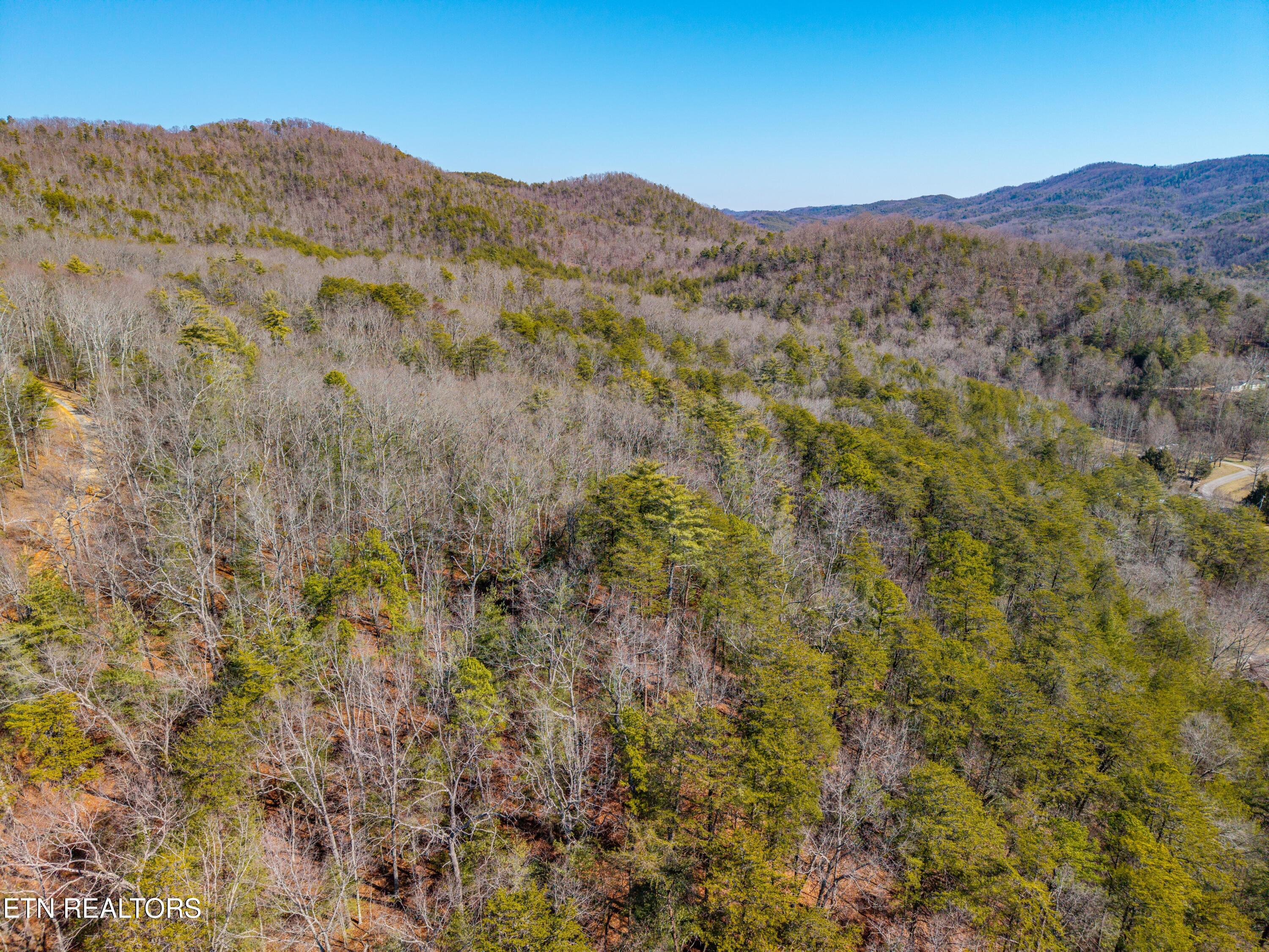 000 Towee Falls Road Tellico Plains TN 37385