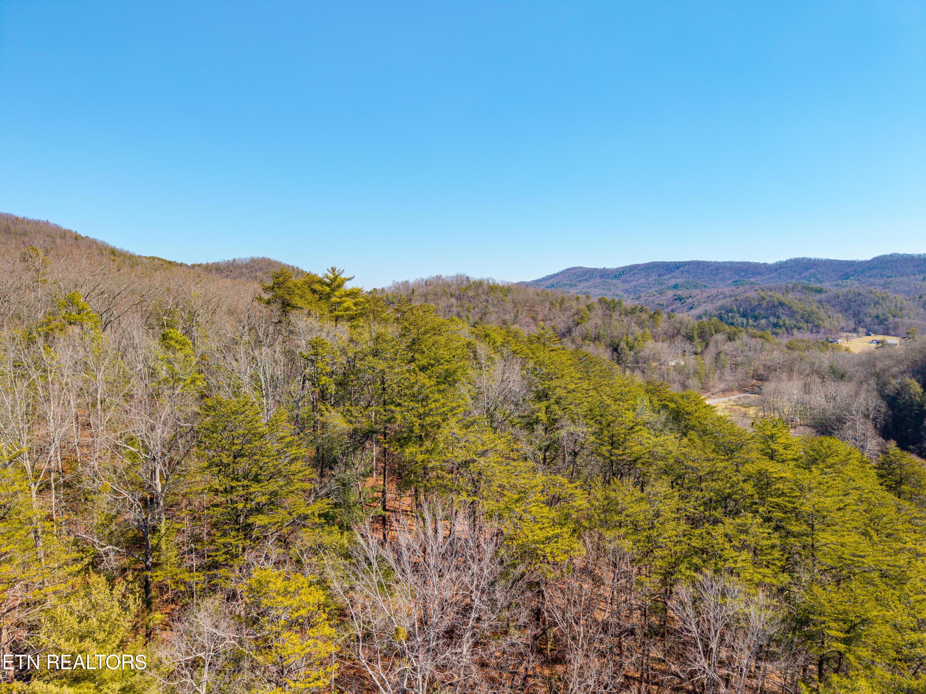 000 Towee Falls Road Tellico Plains TN 37385