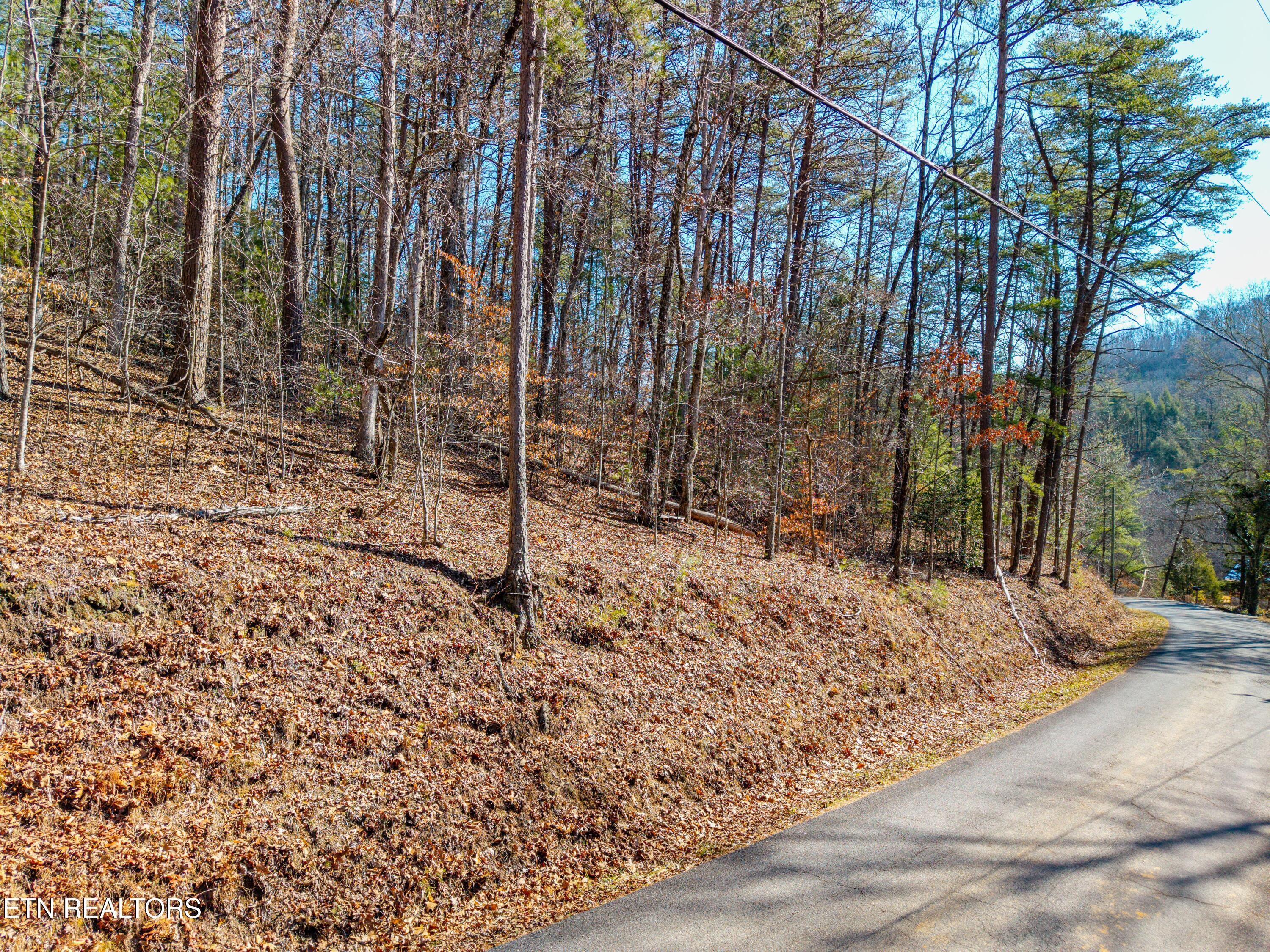 000 Towee Falls Road Tellico Plains TN 37385