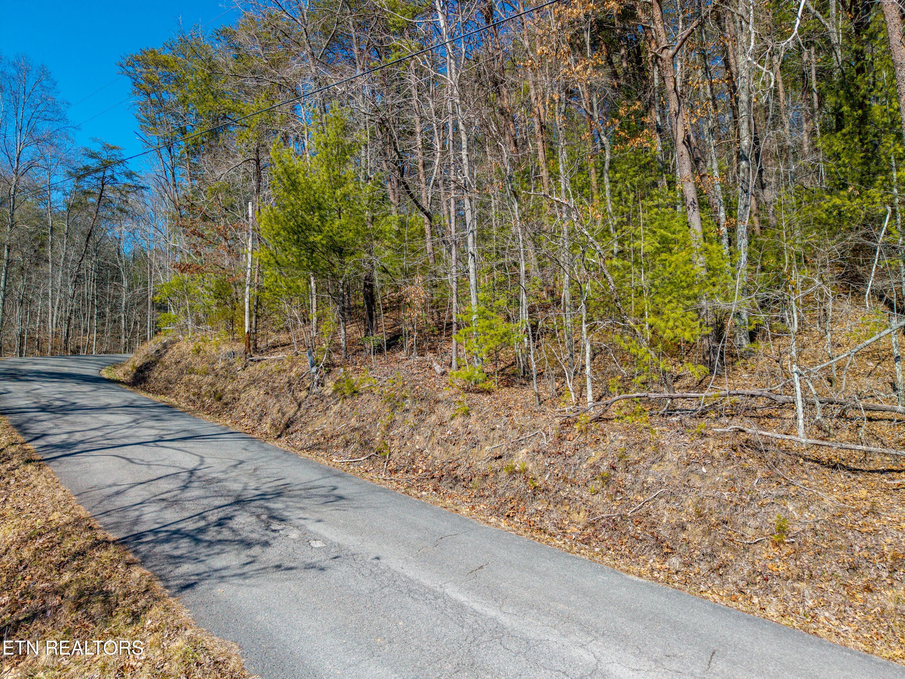 000 Towee Falls Road Tellico Plains TN 37385