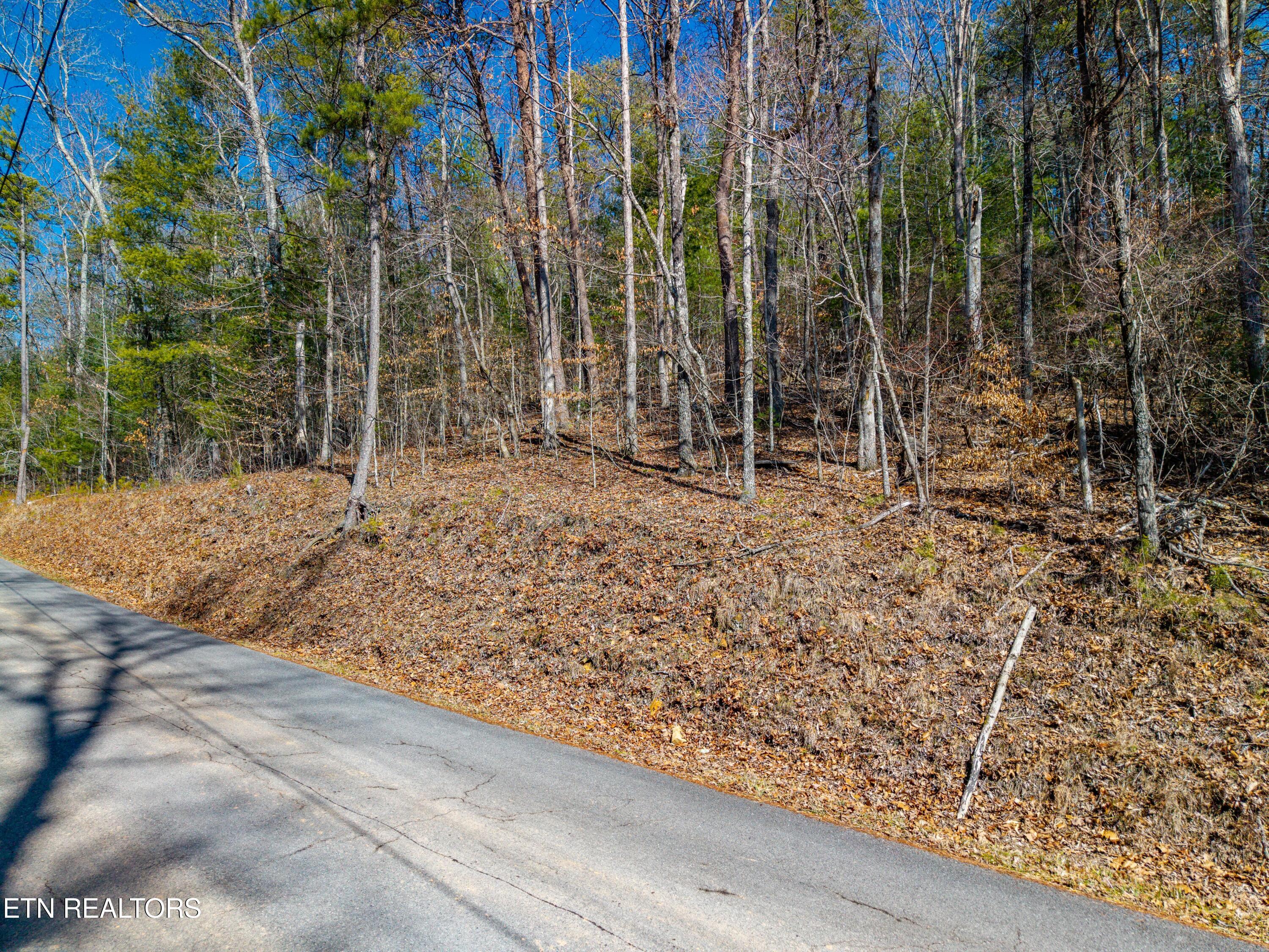 000 Towee Falls Road Tellico Plains TN 37385