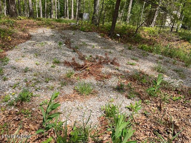 3241 Oswego Road Crossville TN 38572
