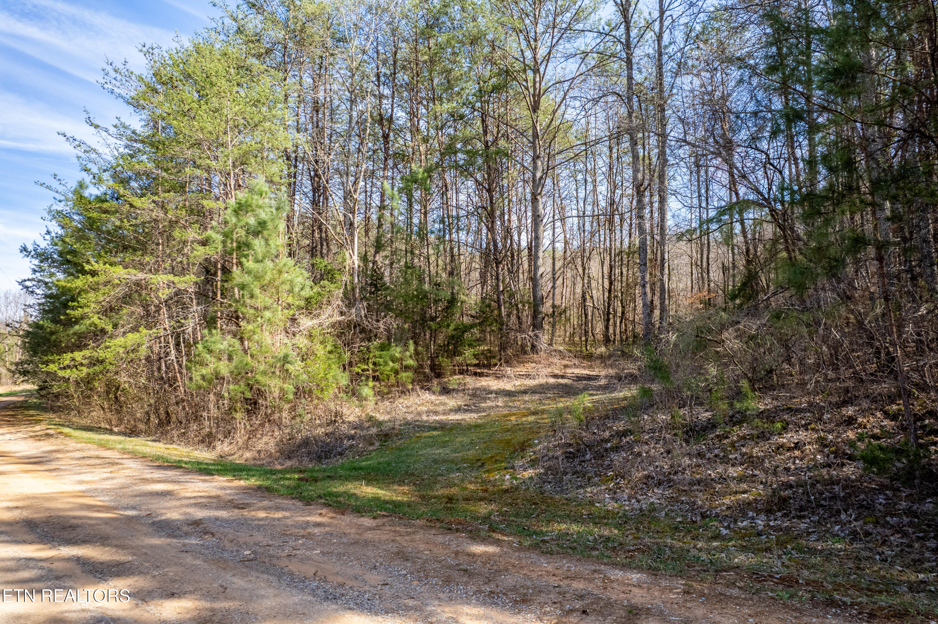 Welch Road Lot 4a Tellico Plains TN 37385