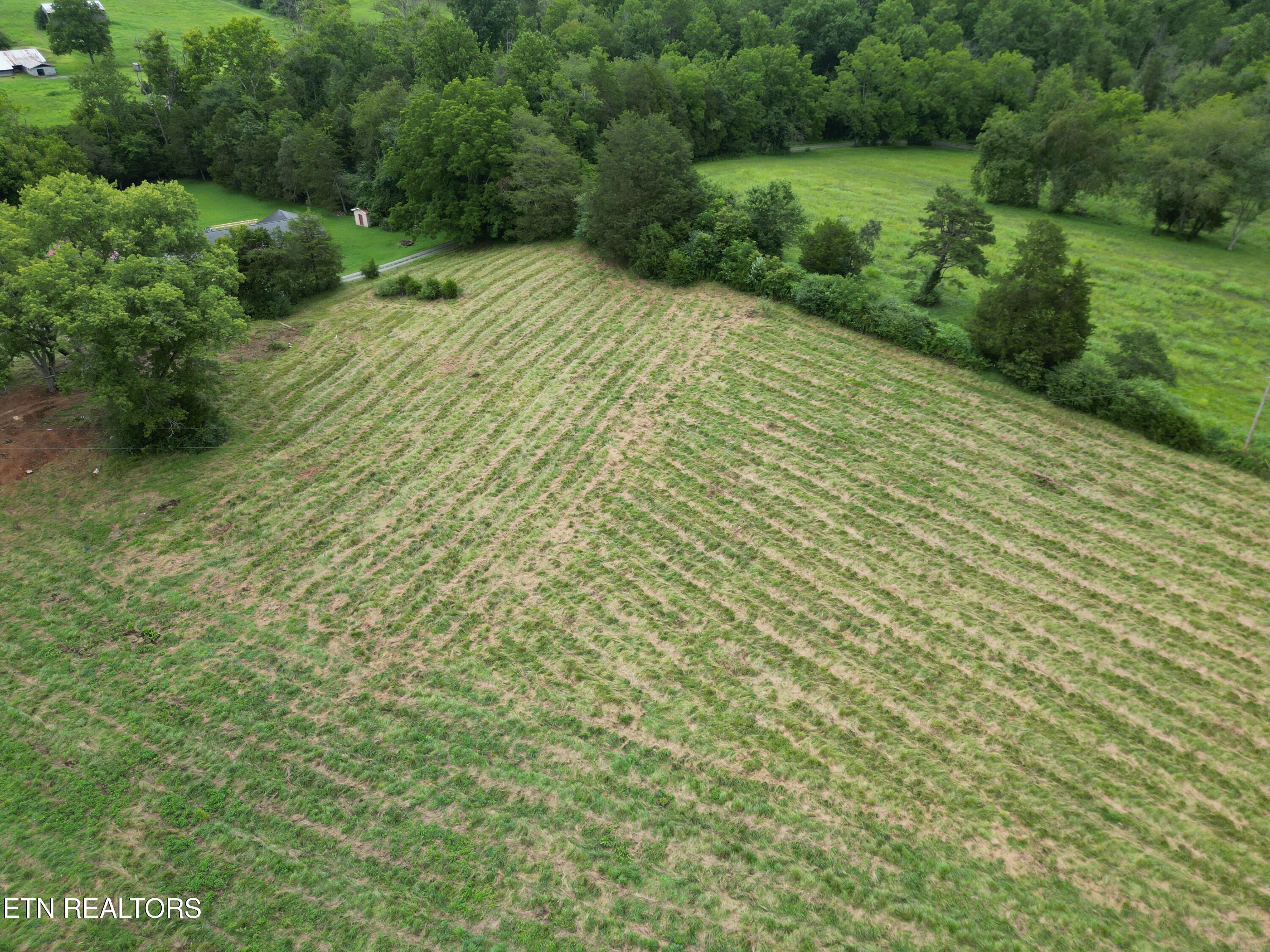 317 Singleton Hollow Road Speedwell TN 37870
