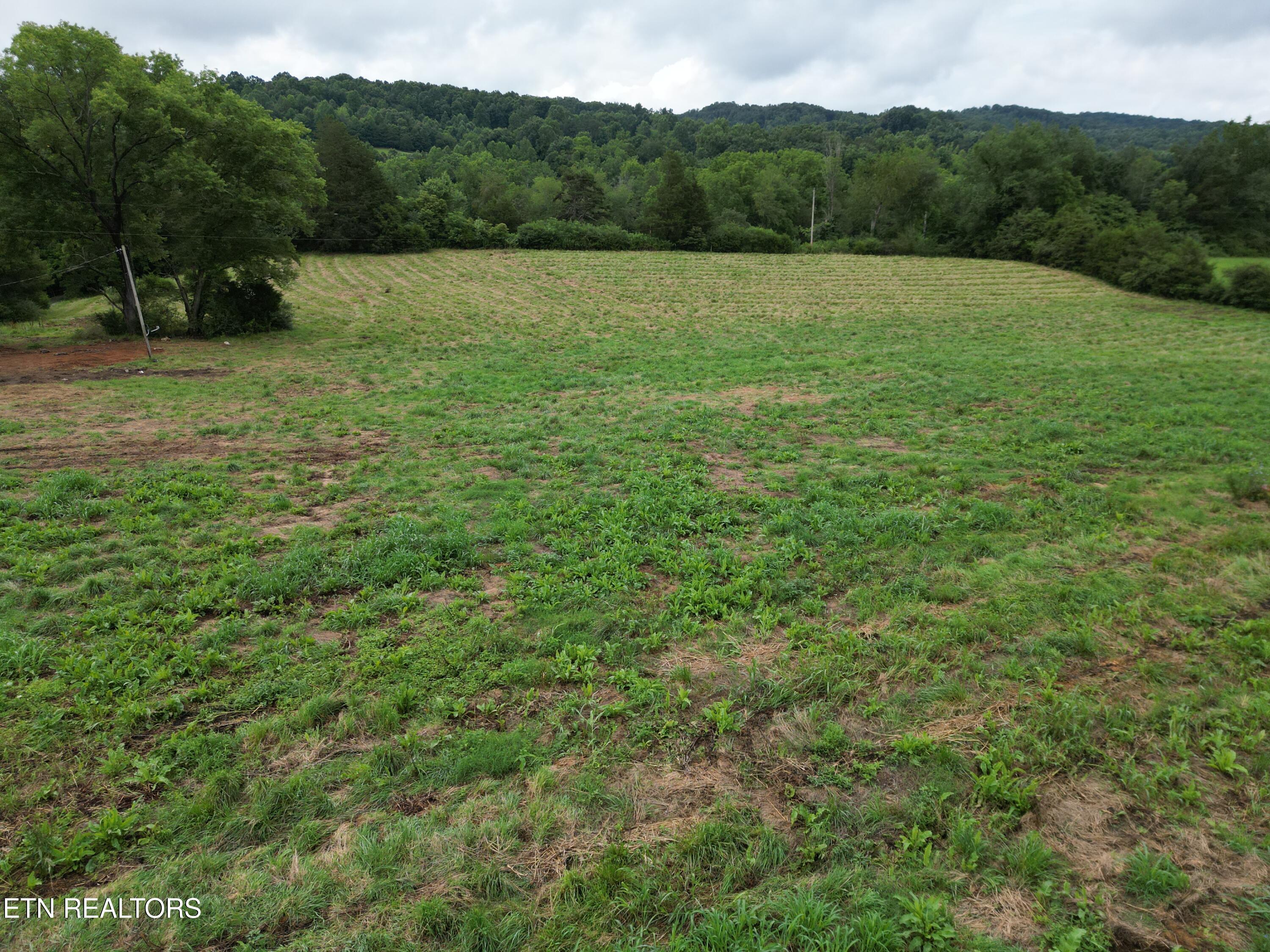 317 Singleton Hollow Road Speedwell TN 37870