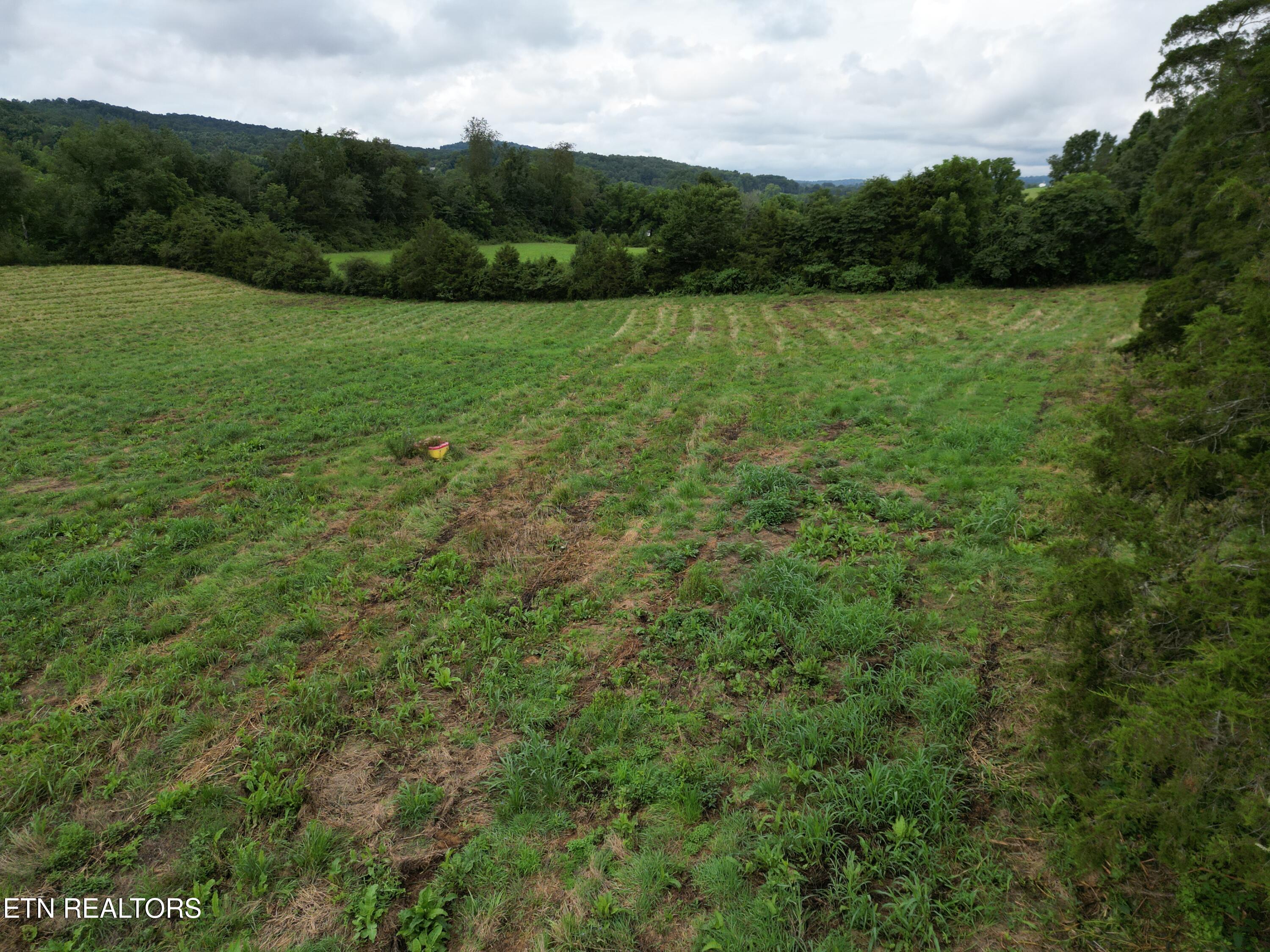 317 Singleton Hollow Road Speedwell TN 37870