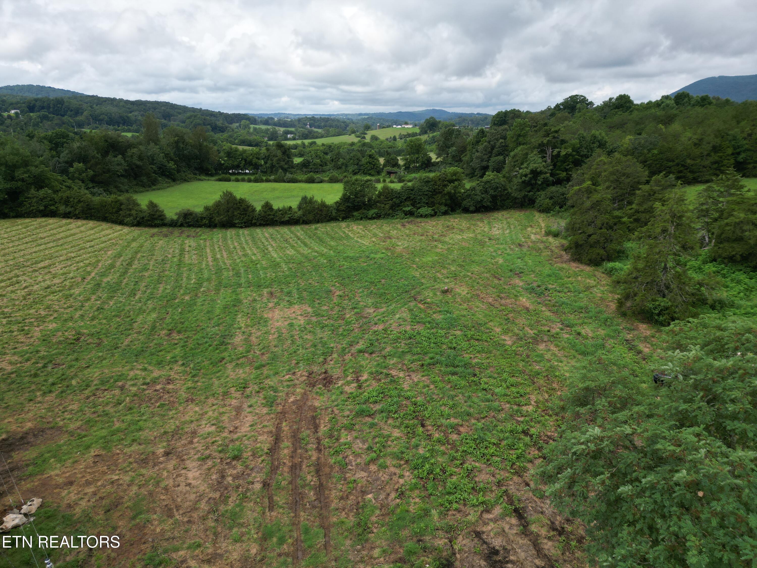 317 Singleton Hollow Road Speedwell TN 37870