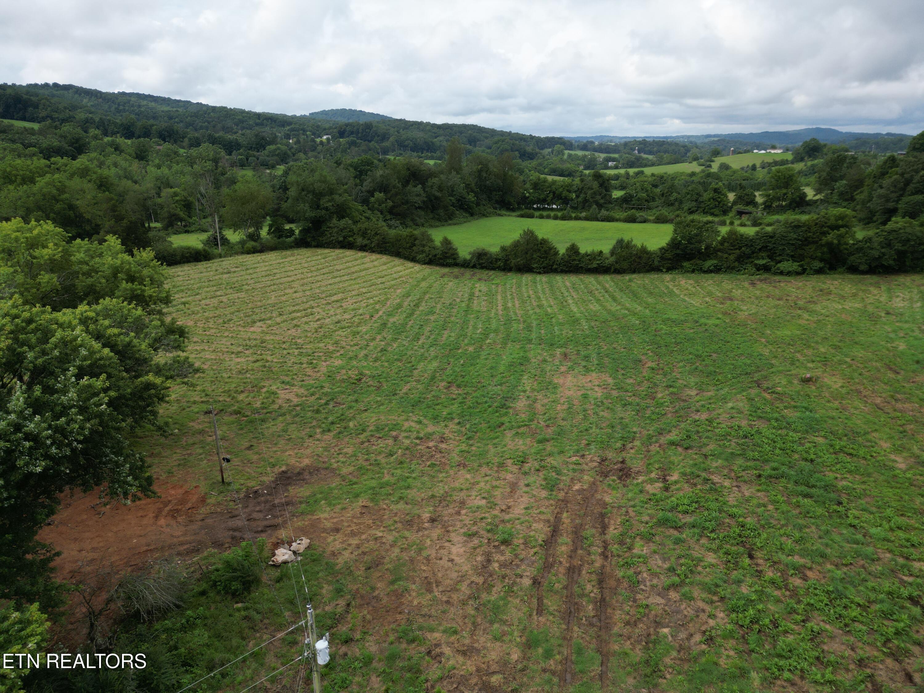 317 Singleton Hollow Road Speedwell TN 37870