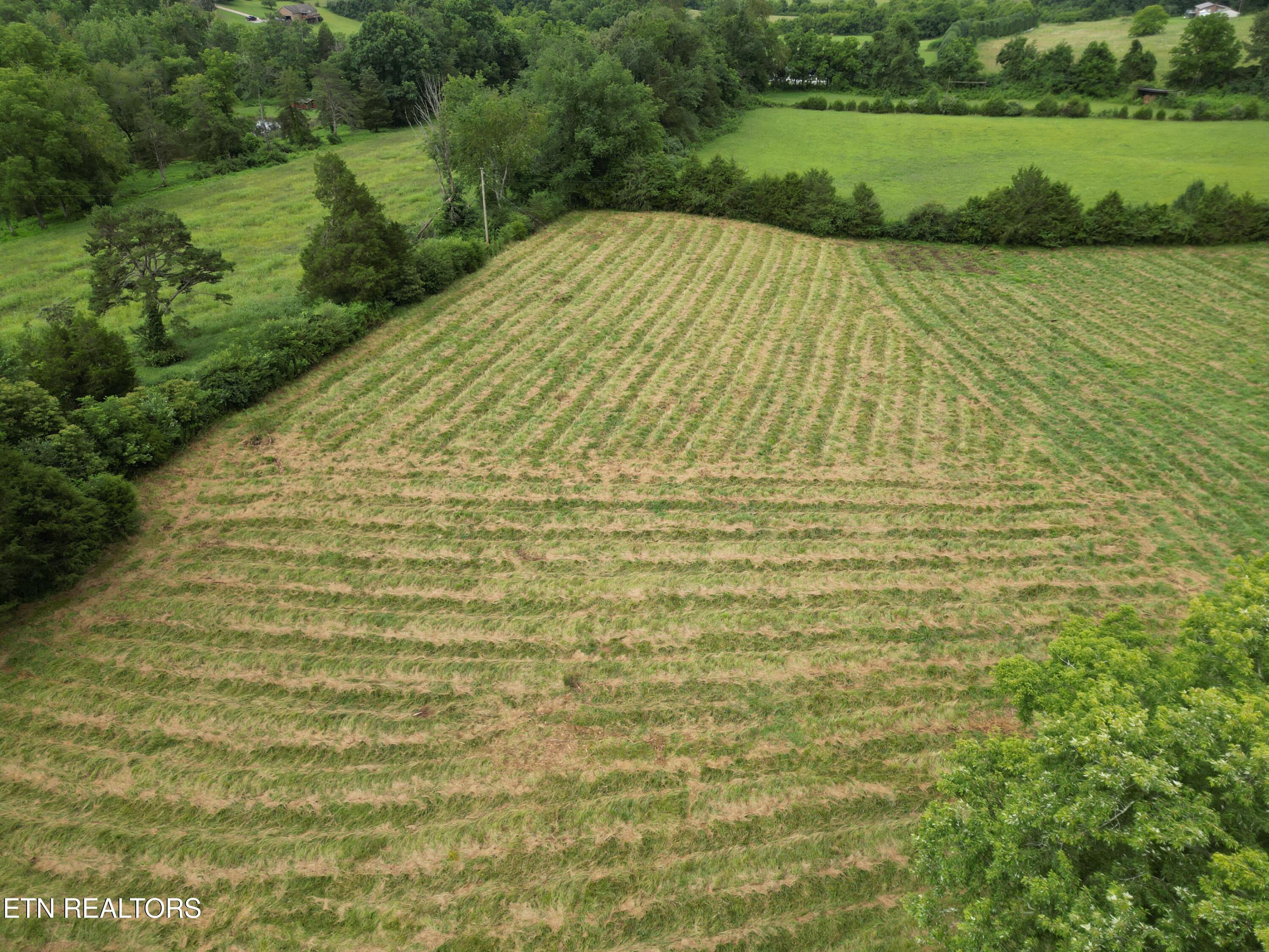 317 Singleton Hollow Road Speedwell TN 37870