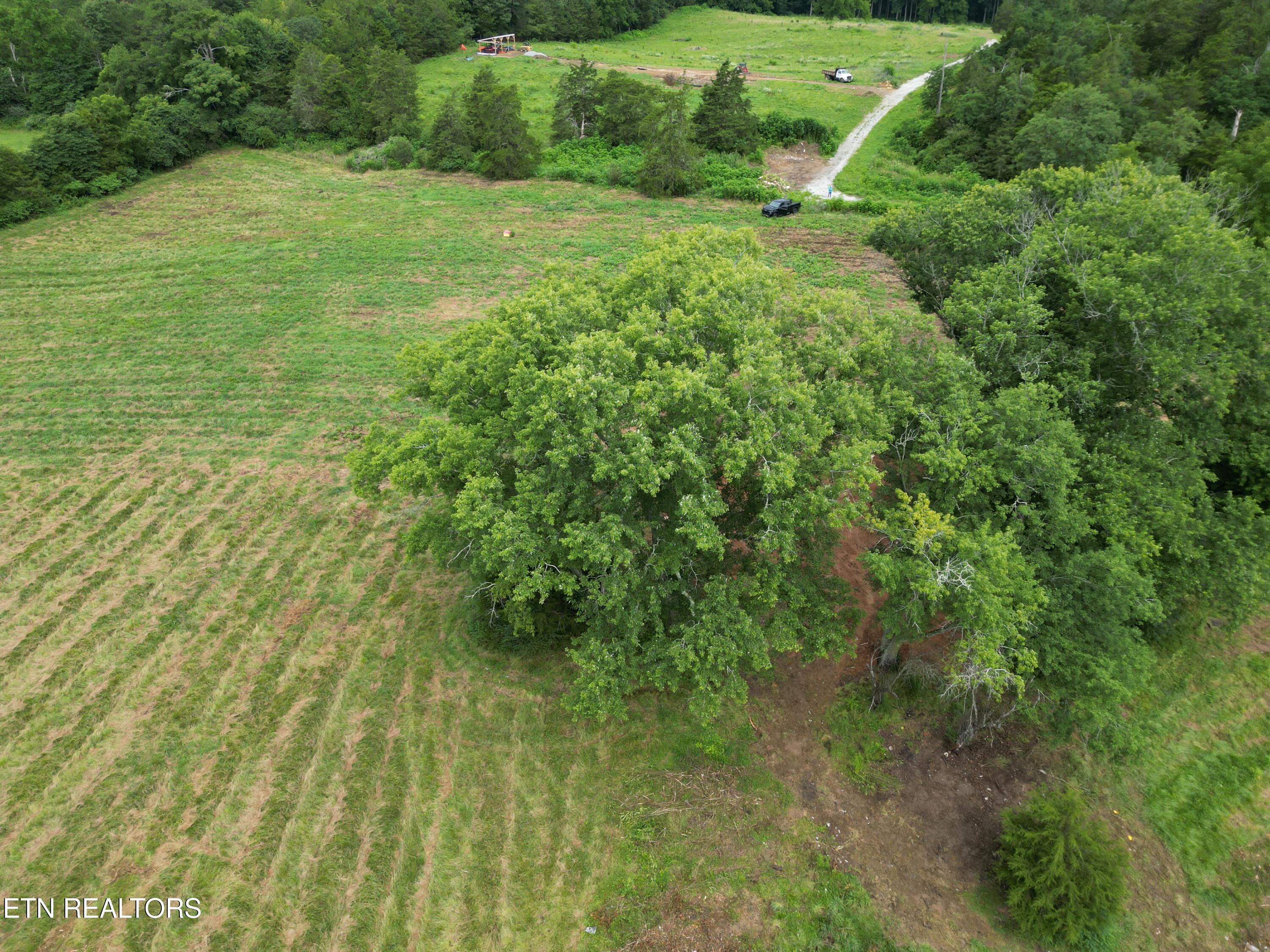 317 Singleton Hollow Road Speedwell TN 37870