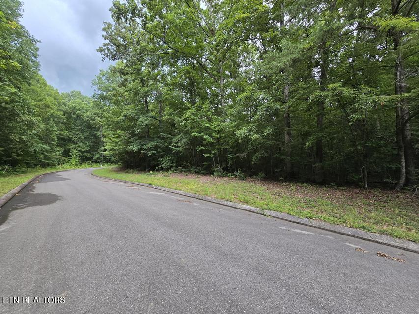 Lot 140 Lower Brow Road Dunlap TN 37327