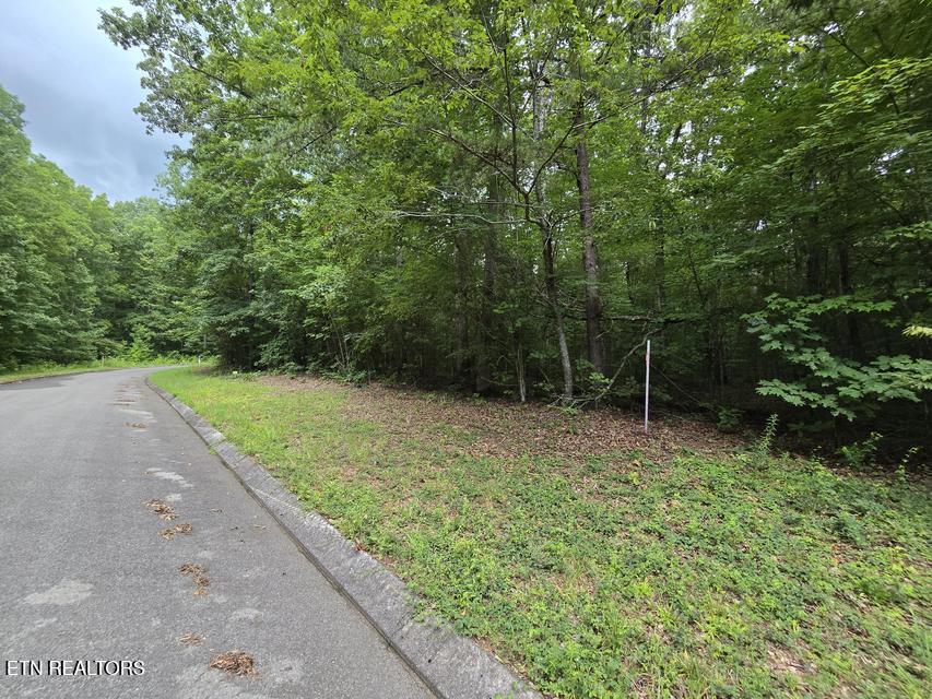 Lot 140 Lower Brow Road Dunlap TN 37327
