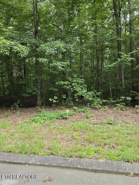 Lot 140 Lower Brow Road Dunlap TN 37327