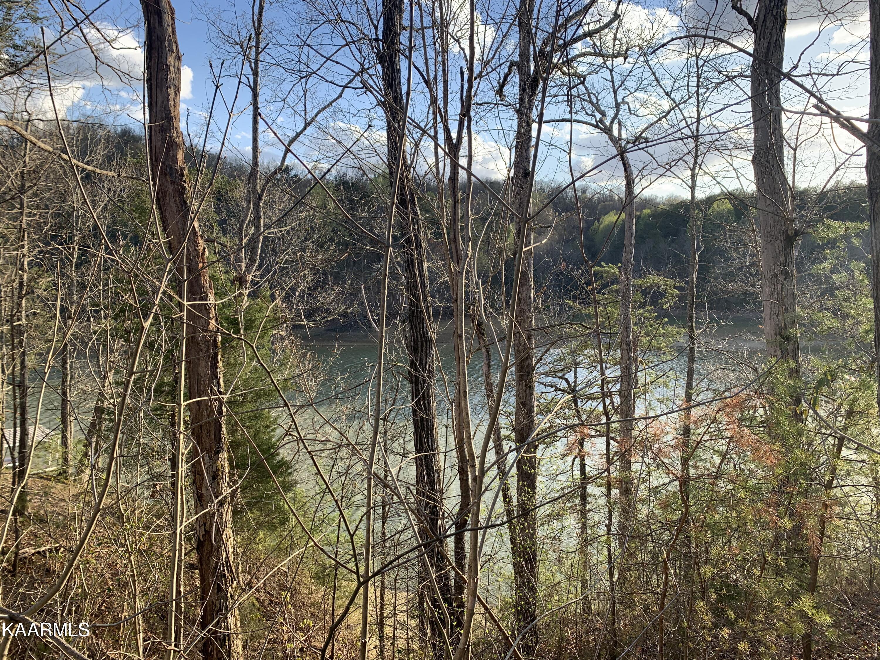 Lot 28 Sanctuary Shores Way Sevierville TN 37876
