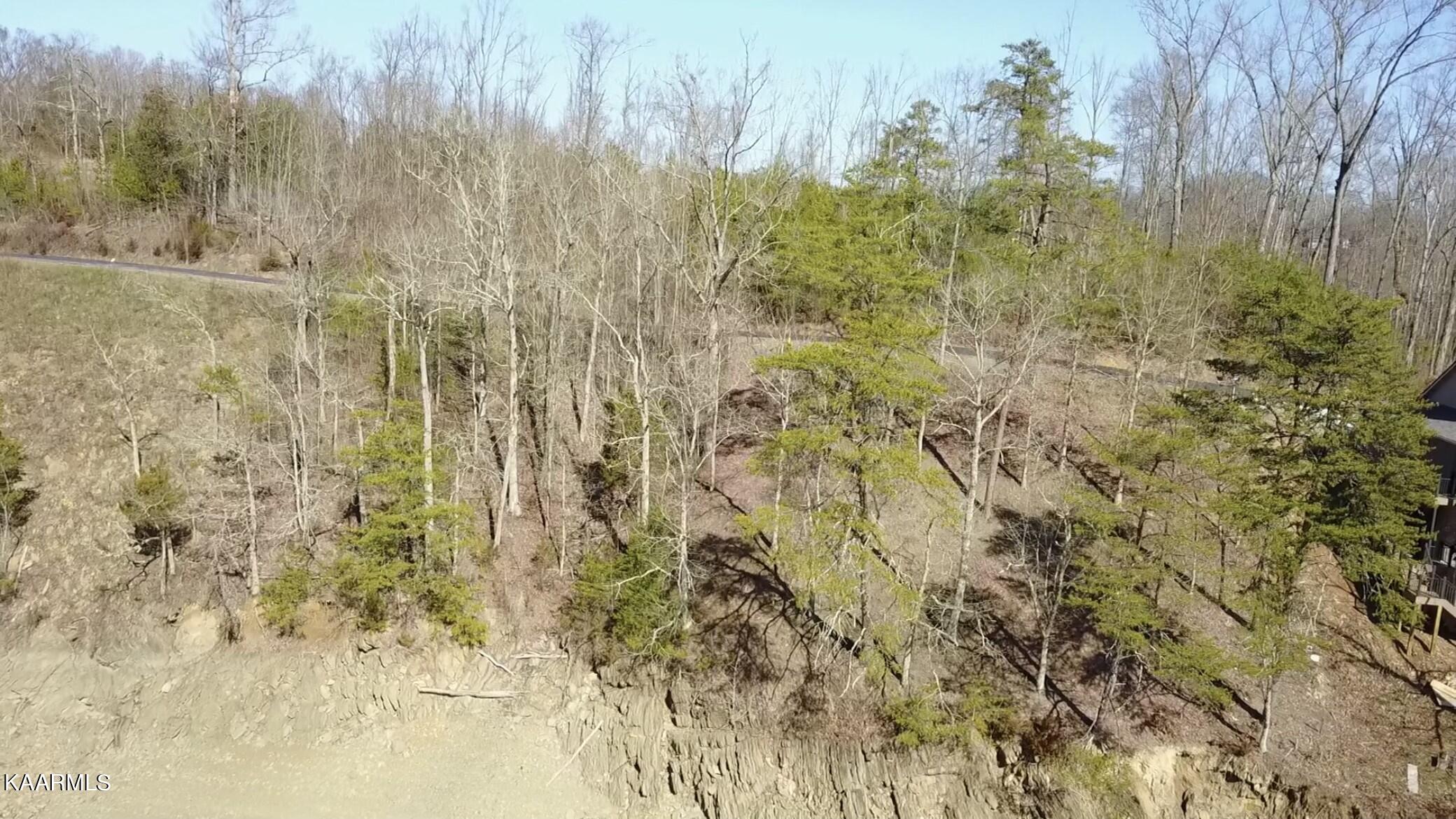 Lot 28 Sanctuary Shores Way Sevierville TN 37876