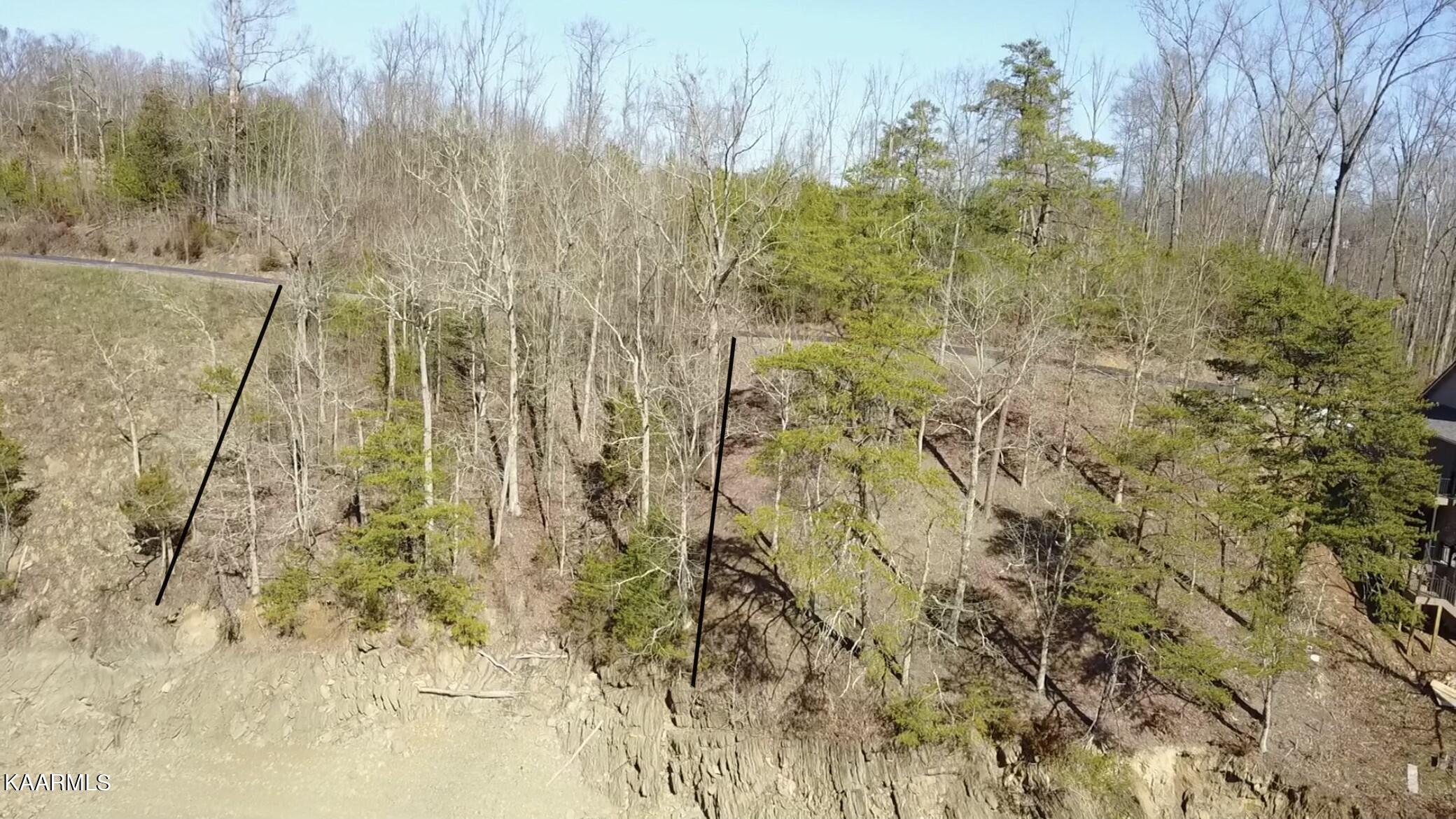 Lot 28 Sanctuary Shores Way Sevierville TN 37876