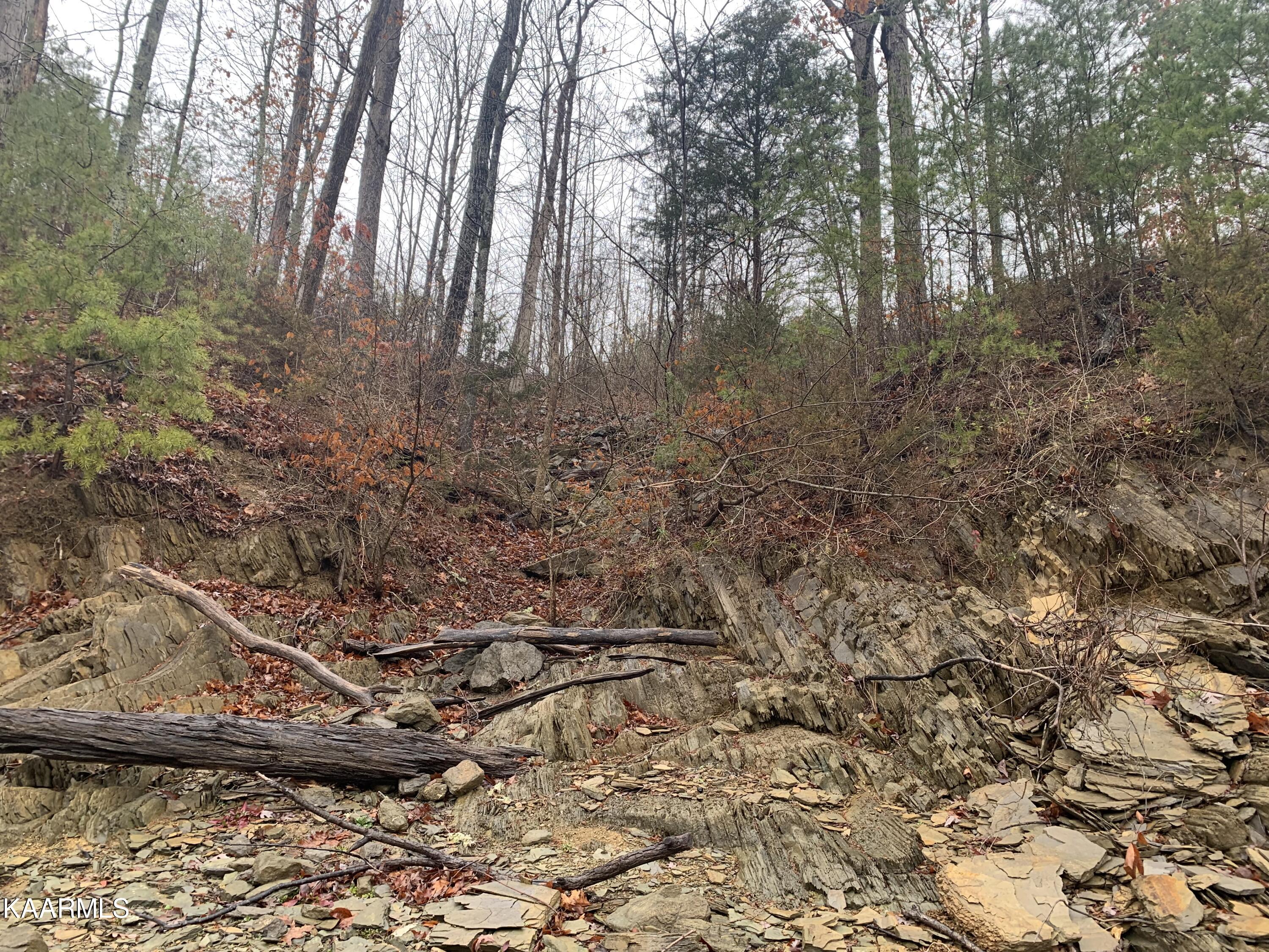 Lot 28 Sanctuary Shores Way Sevierville TN 37876