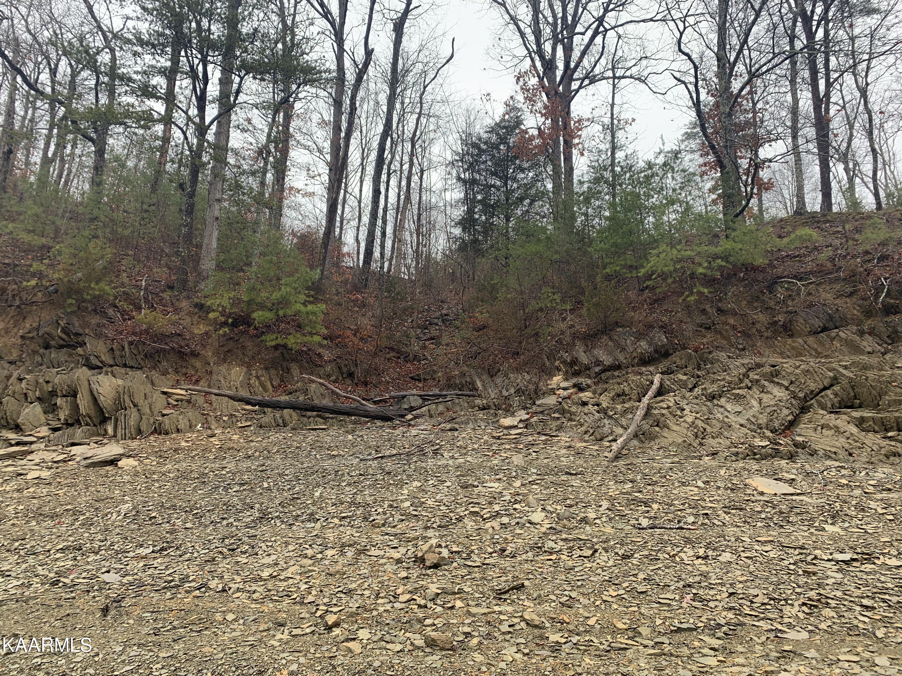 Lot 28 Sanctuary Shores Way Sevierville TN 37876