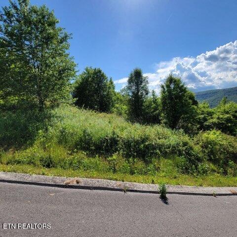 0 Hardin Road Dunlap TN 37327