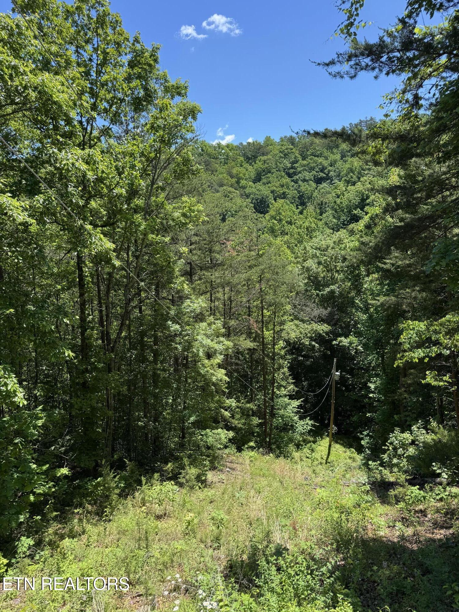 2313 High View Road Sevierville TN 37876