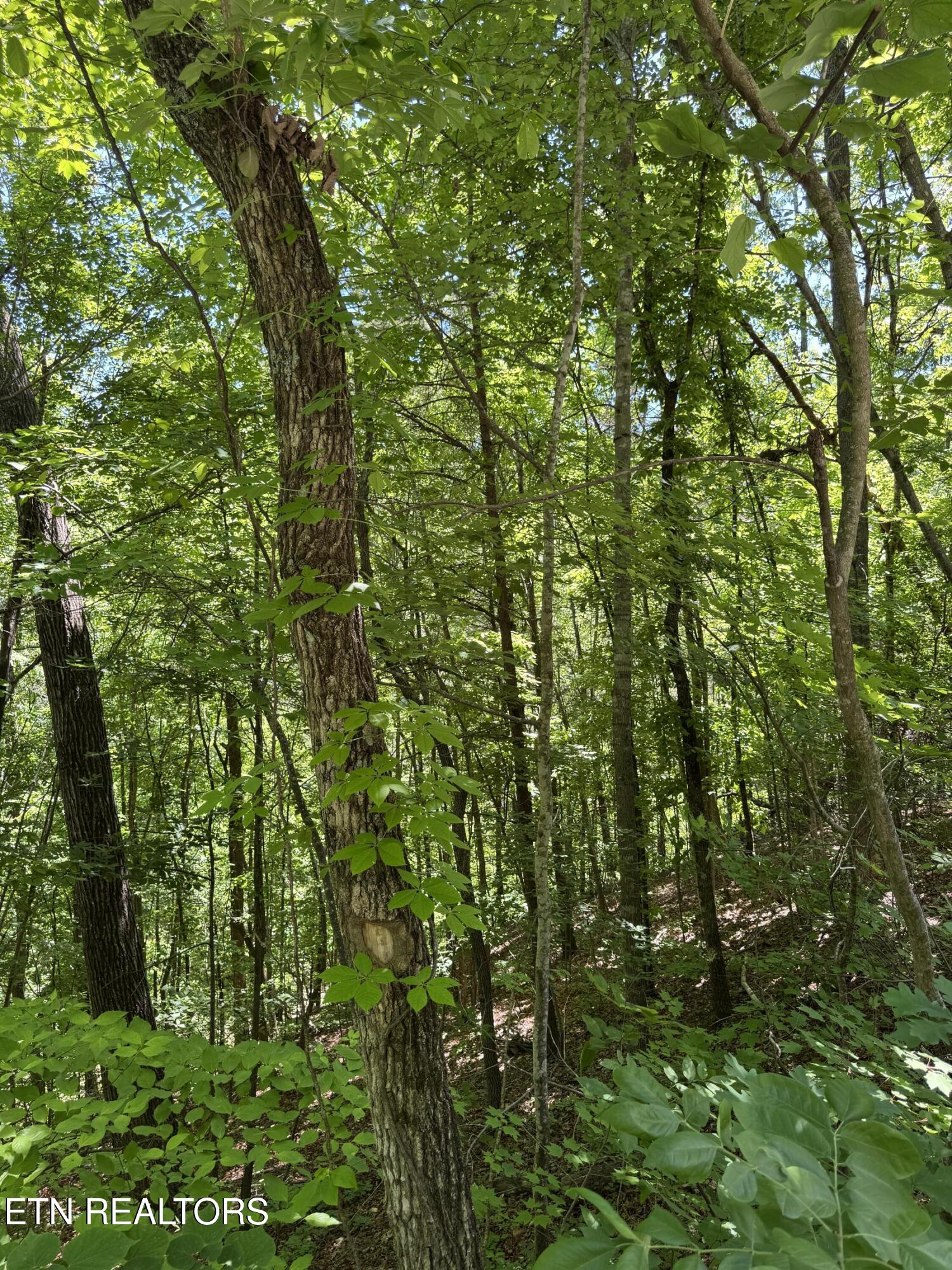 2313 High View Road Sevierville TN 37876