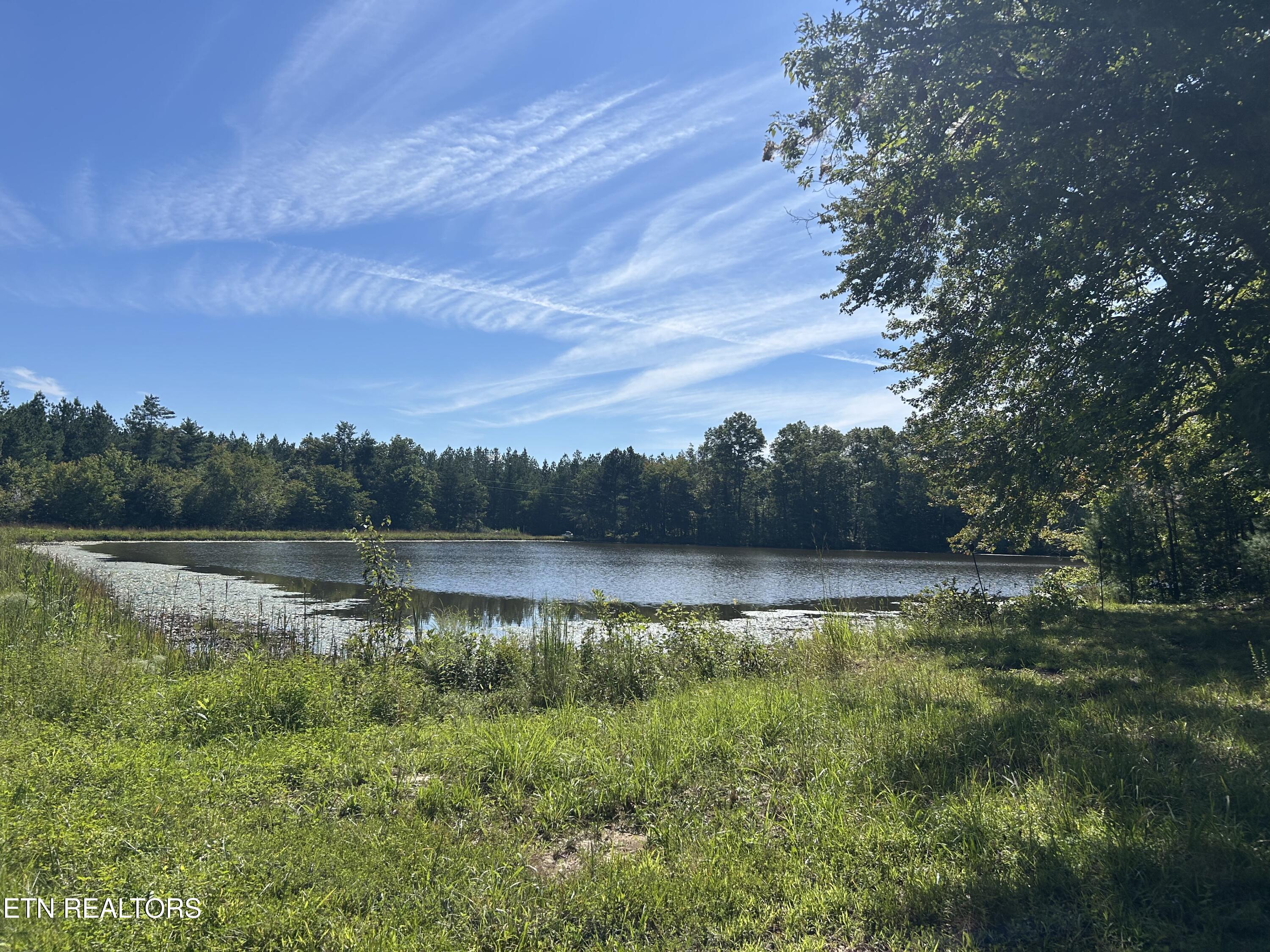 241 Star Lake Way Deer Lodge TN 37726