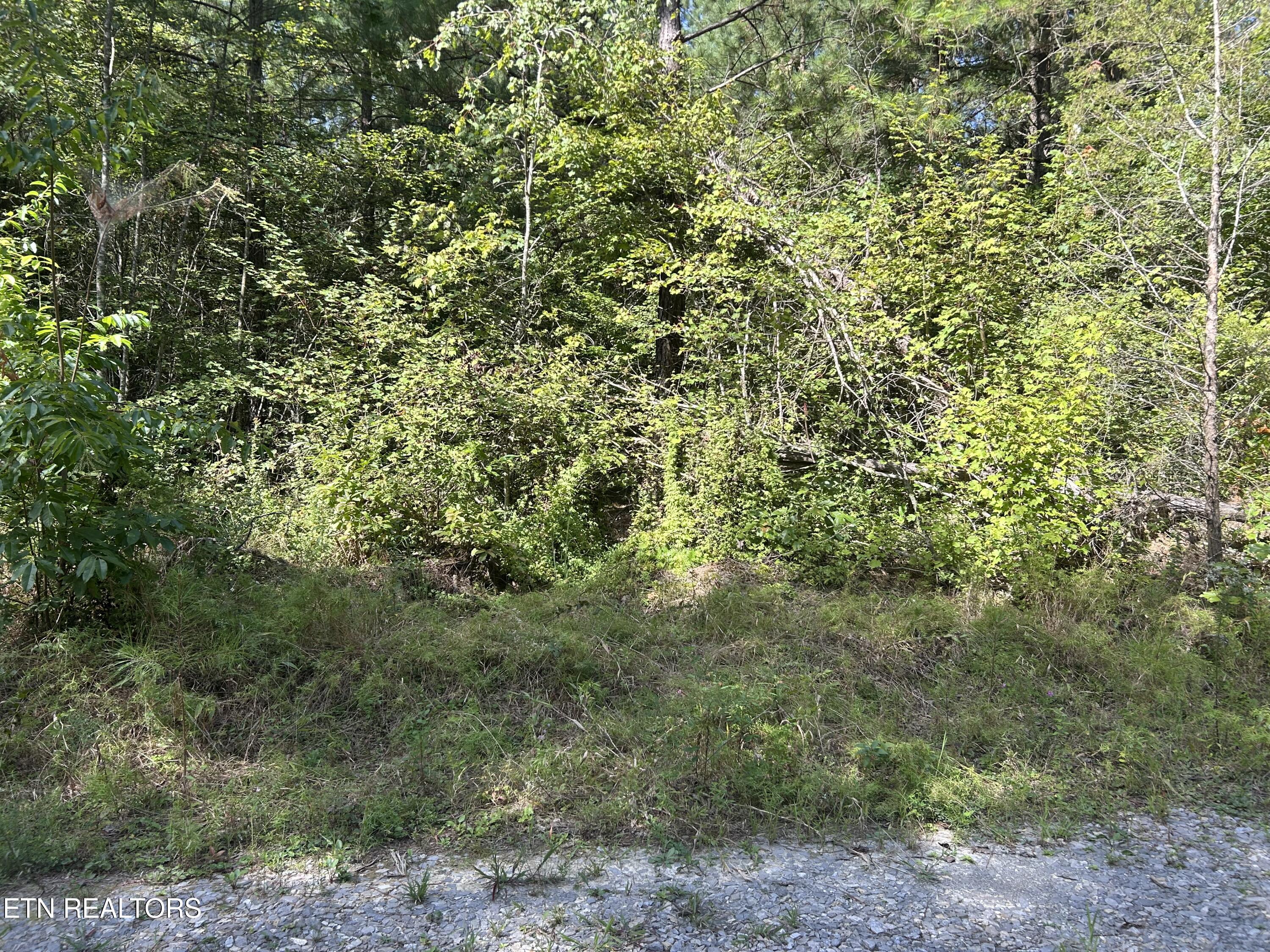 241 Star Lake Way Deer Lodge TN 37726