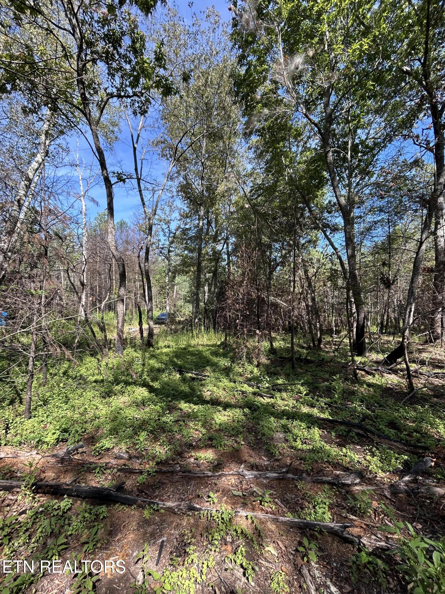 241 Star Lake Way Deer Lodge TN 37726