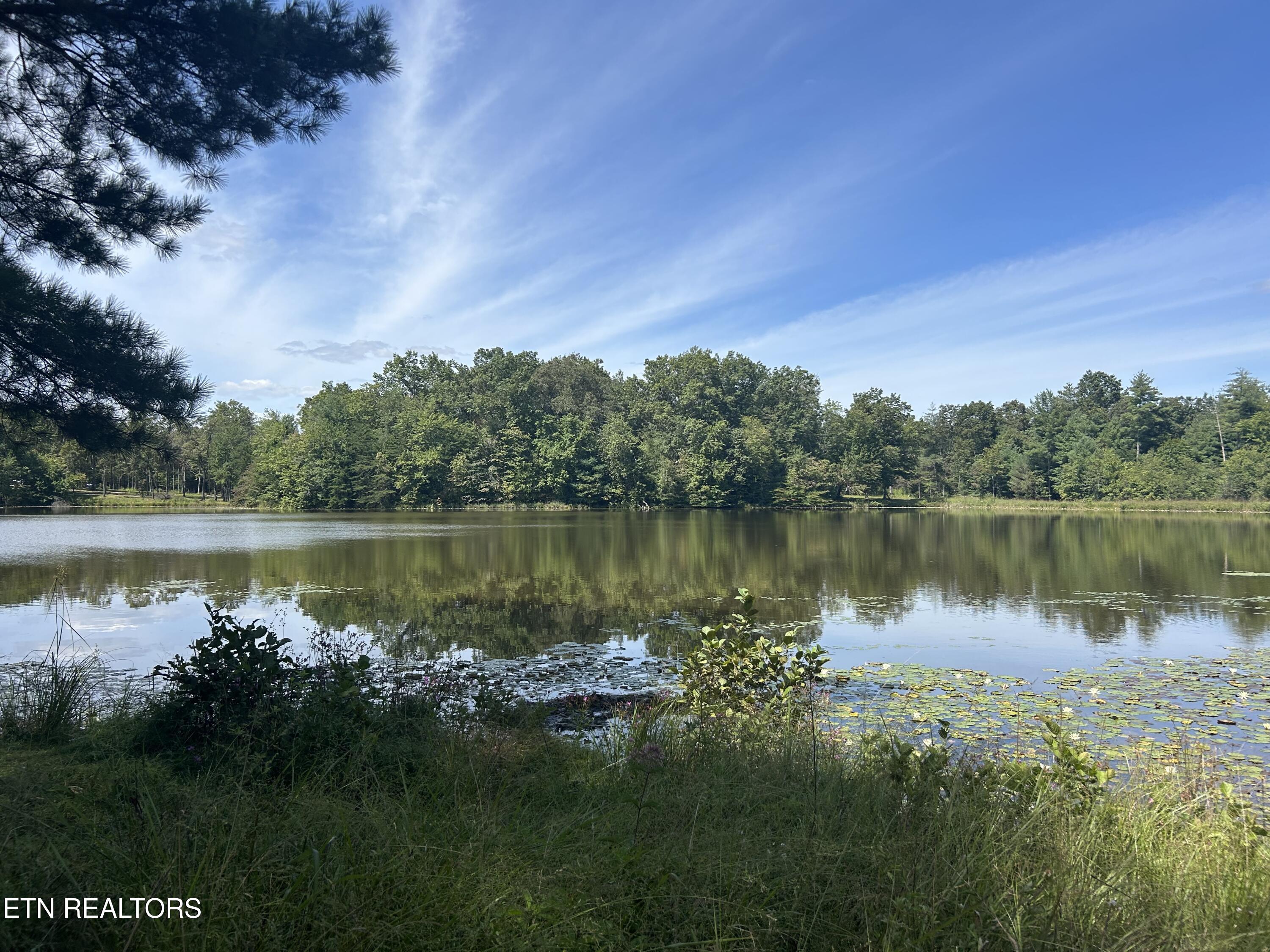 241 Star Lake Way Deer Lodge TN 37726