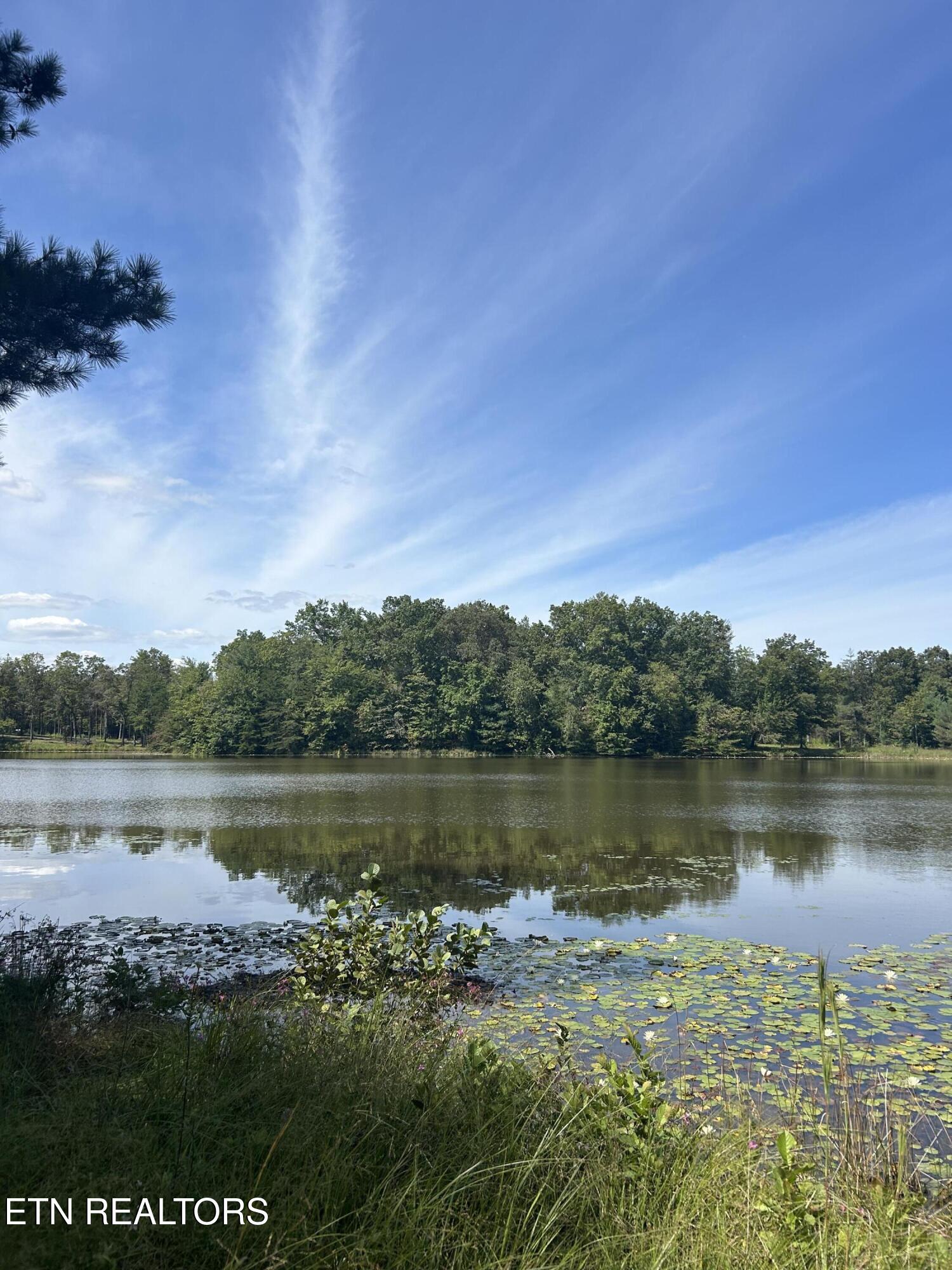 241 Star Lake Way Deer Lodge TN 37726