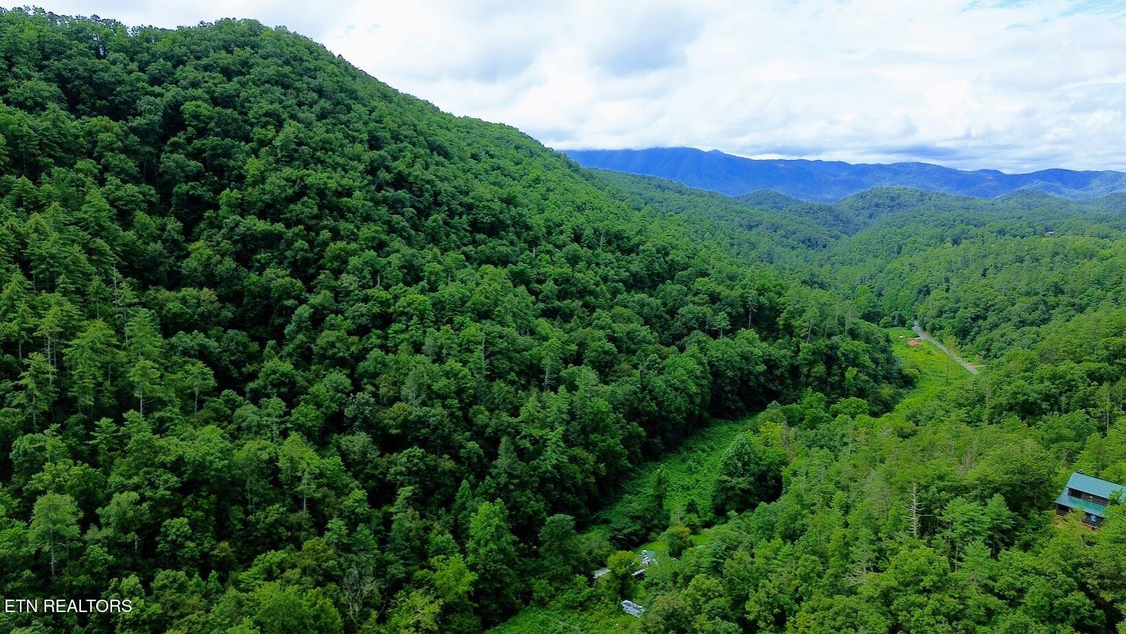 Carrs Creek Road Townsend TN 37882