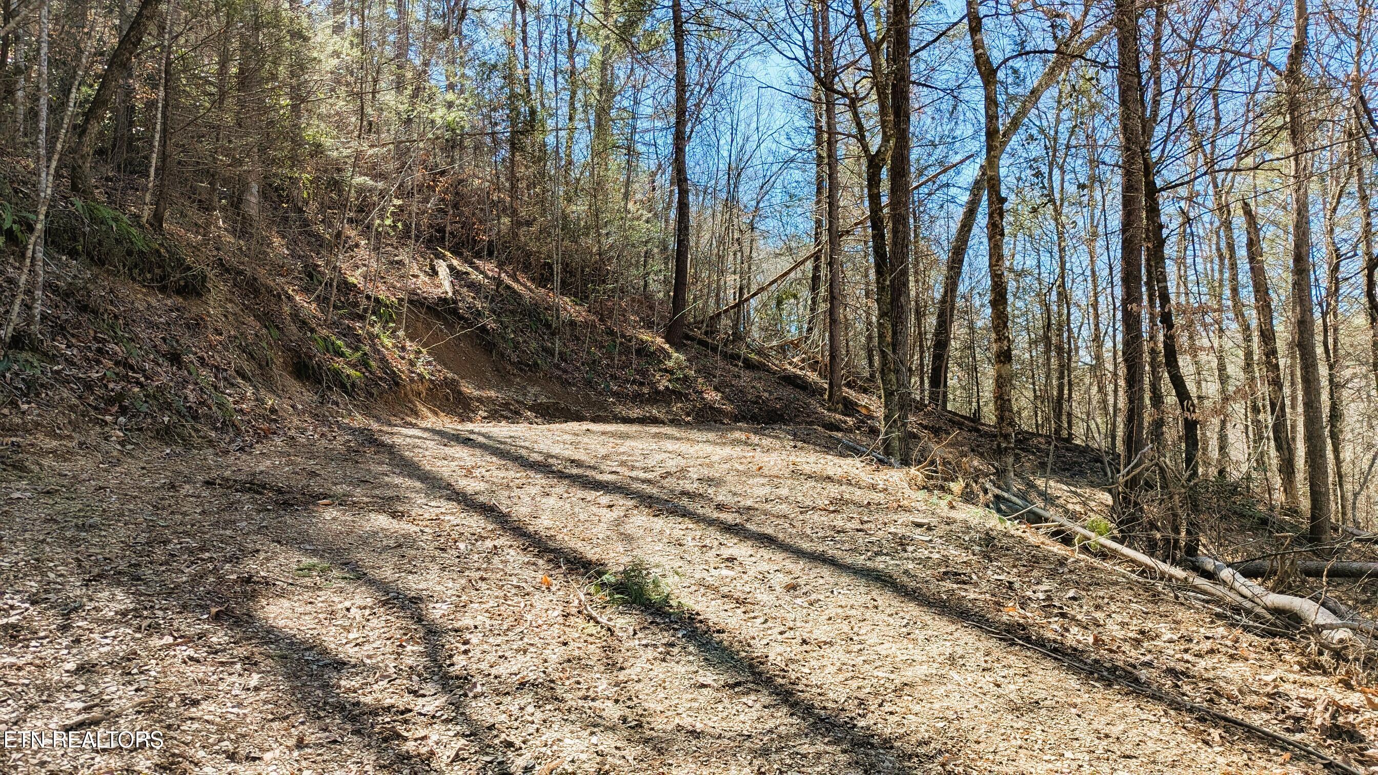 Carrs Creek Road Townsend TN 37882