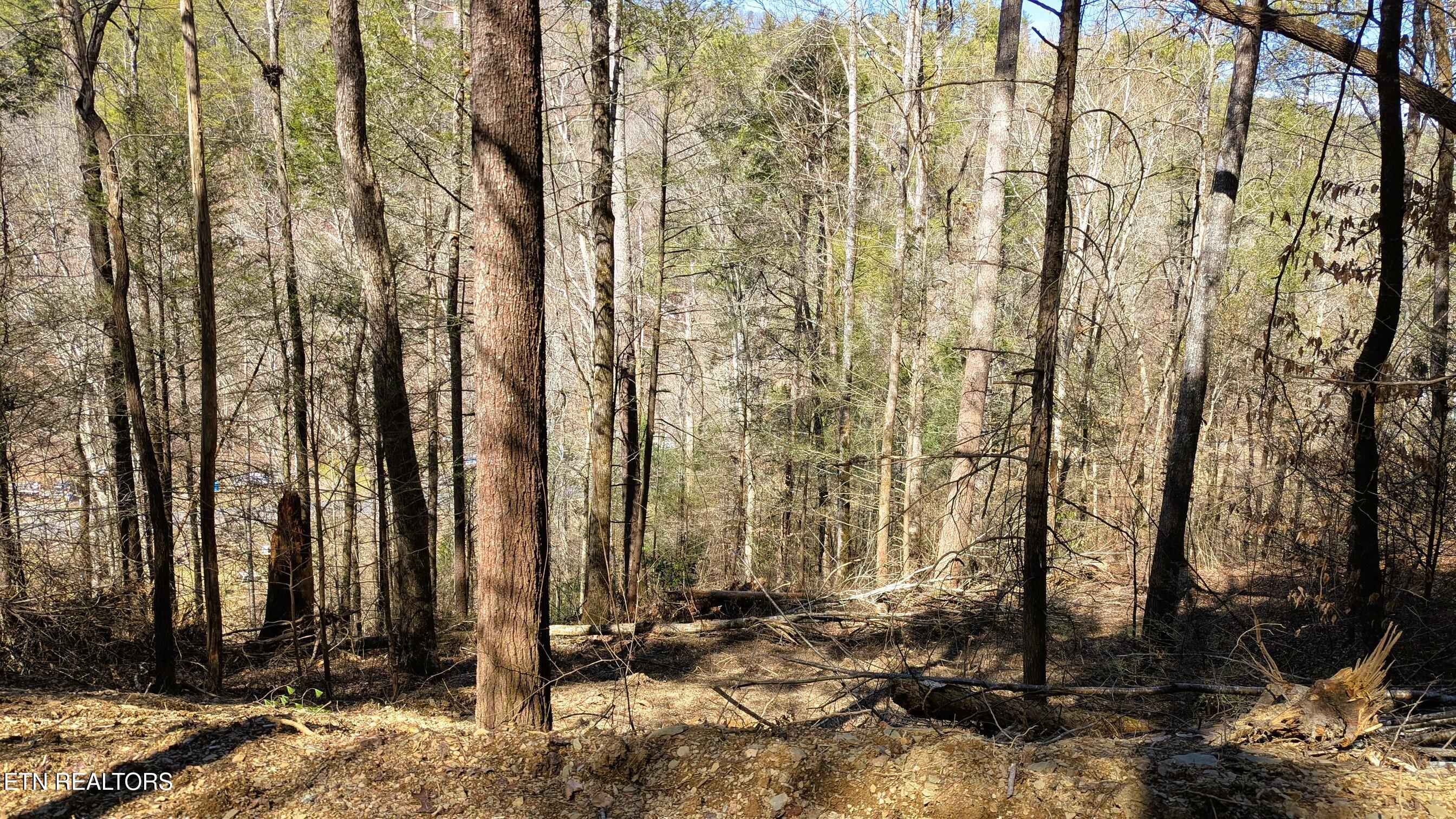 Carrs Creek Road Townsend TN 37882